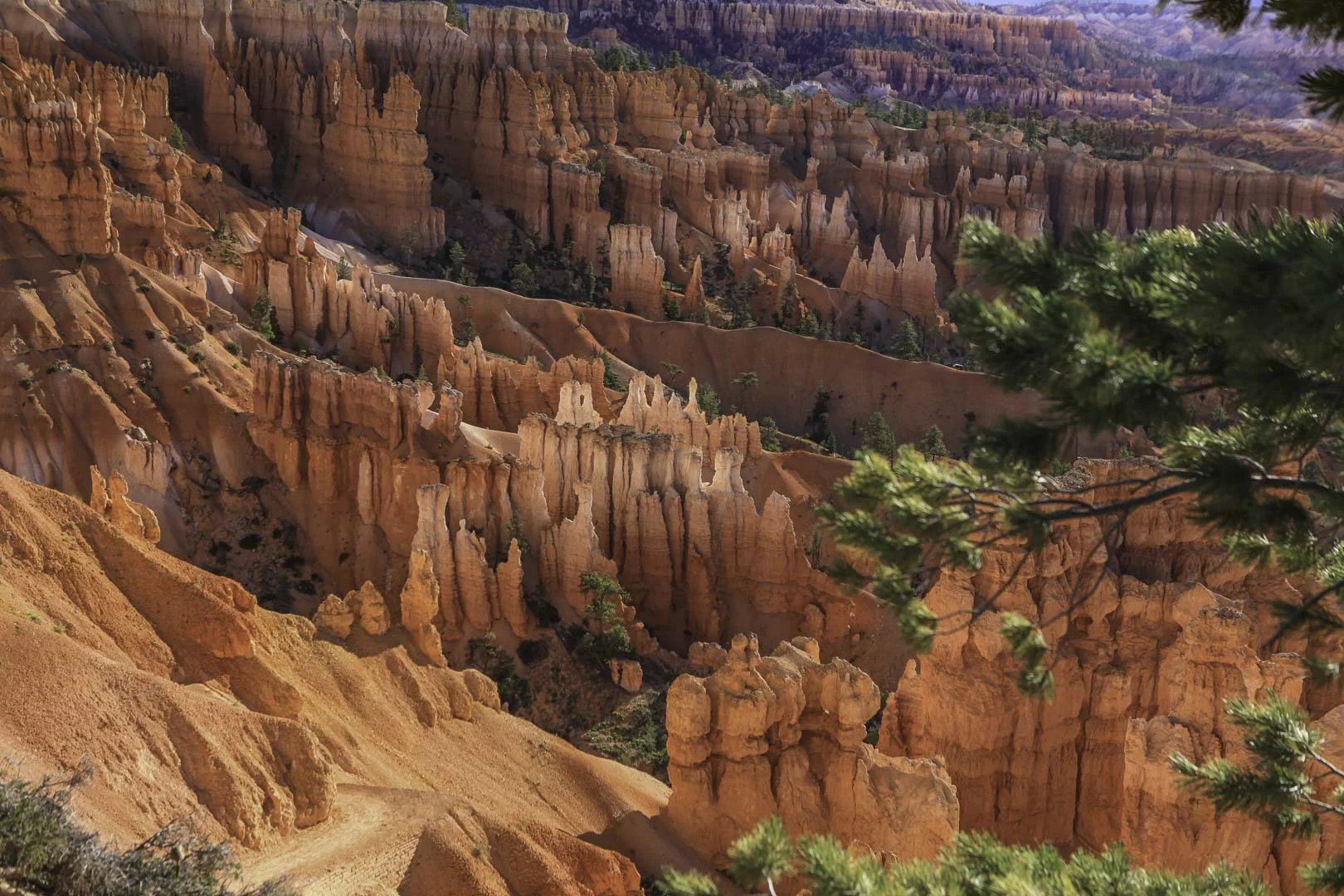 josephbphotography-travels-usa-western-national-parks-bryce-canyon 1.jpg