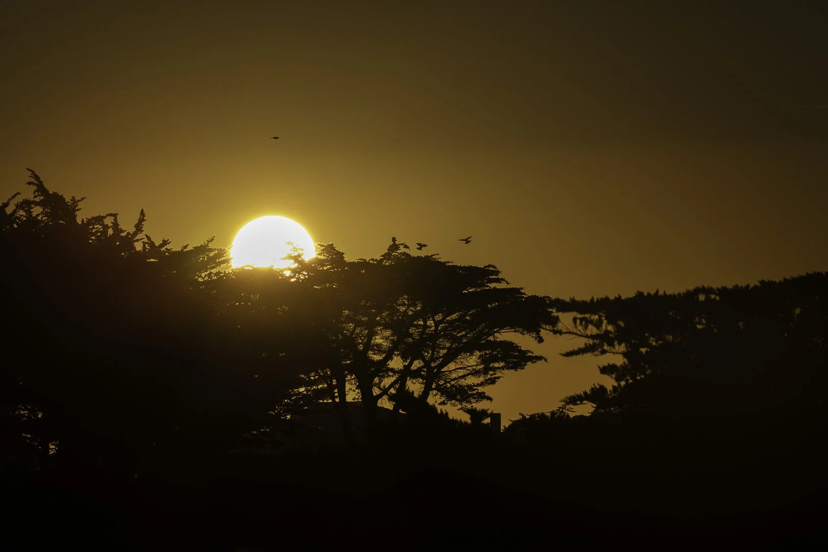 First Light with François