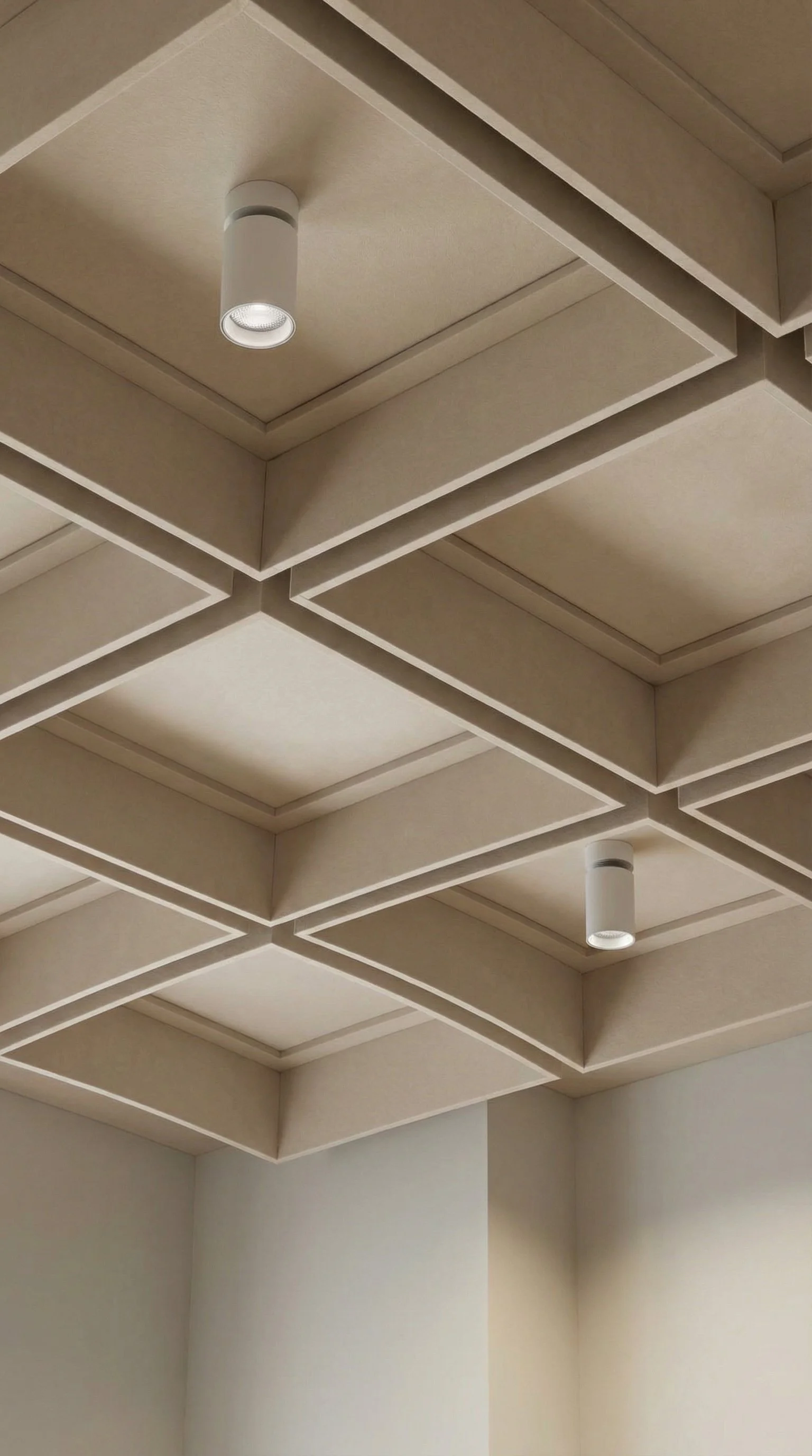 Plafond met rechthoekige panelen en ingebouwde spotlights.