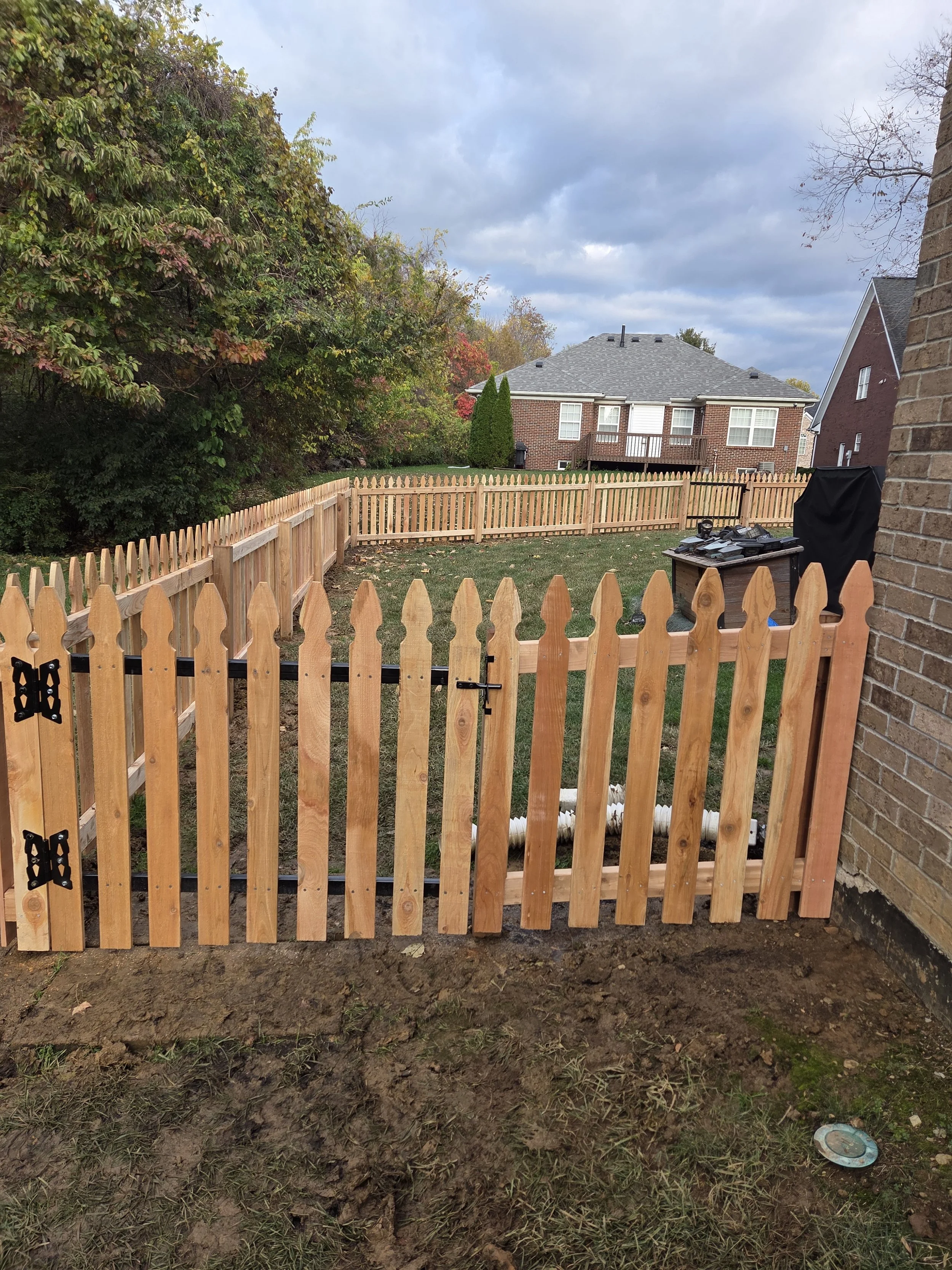 4 ft tall cedar gothic picket fence with black steel frame gate, dog fence, 