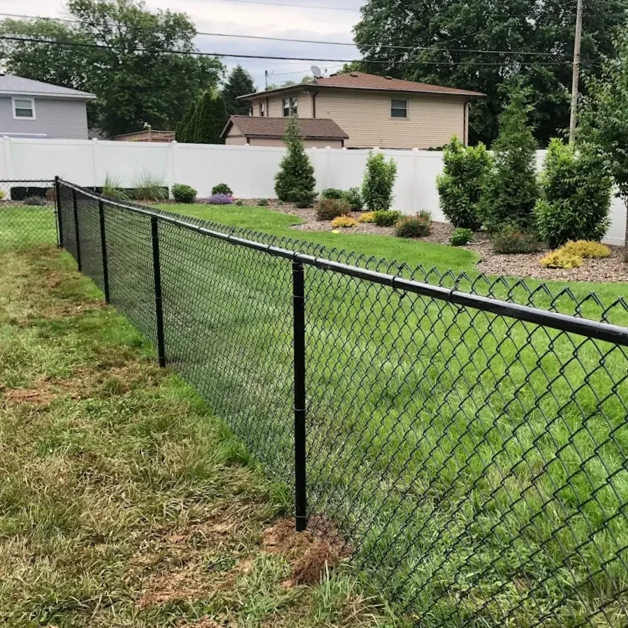 4' Black Chain Link.webp