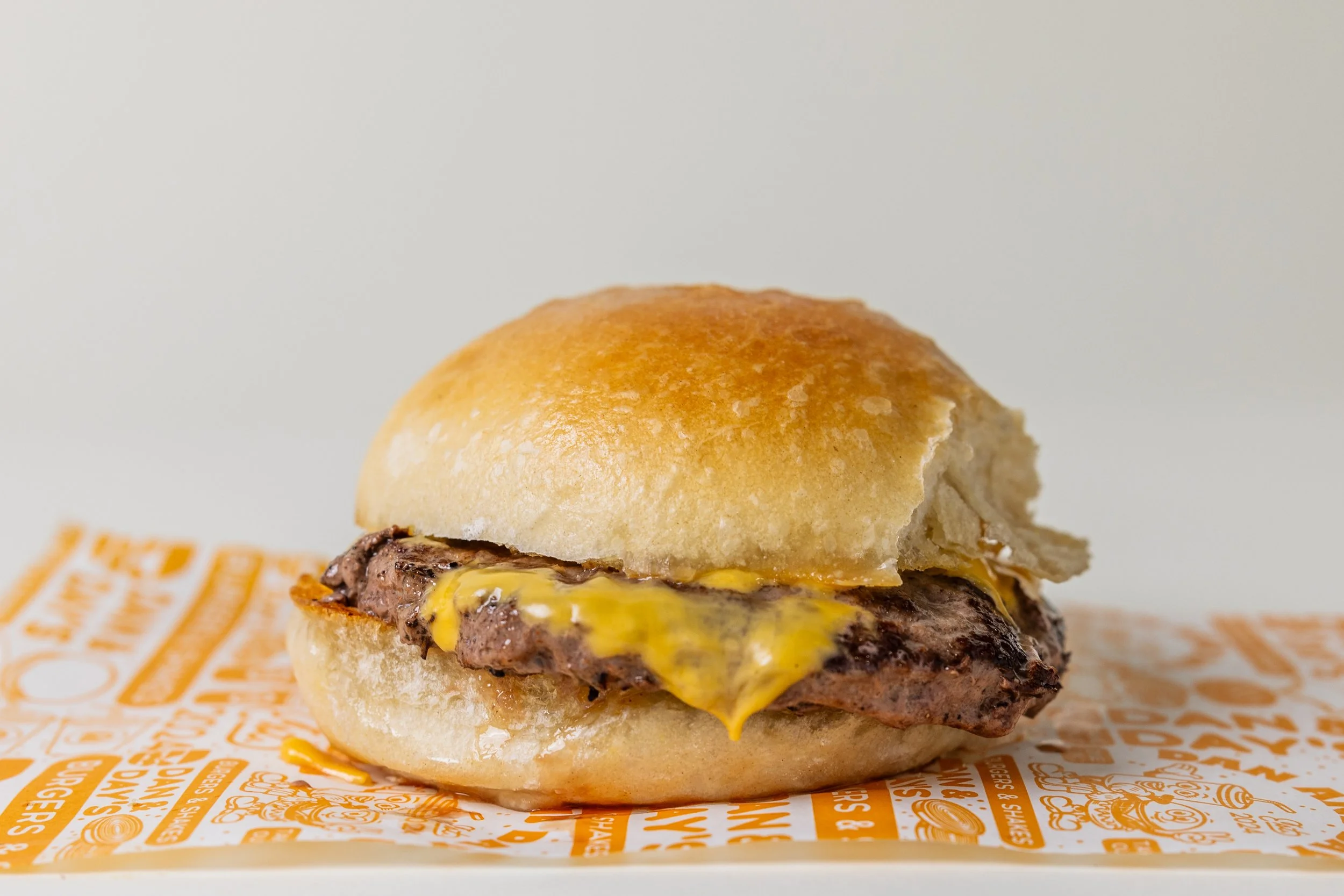 Plain Cheese Burger on a Round Roll