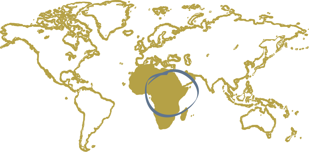 World Map with Africa filled in
