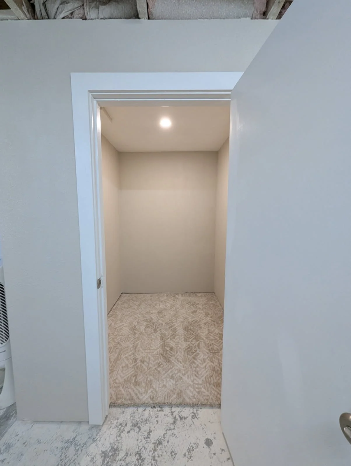 Empty small closet or storage space with beige walls, a ceiling light, and beige patterned carpeted floor.