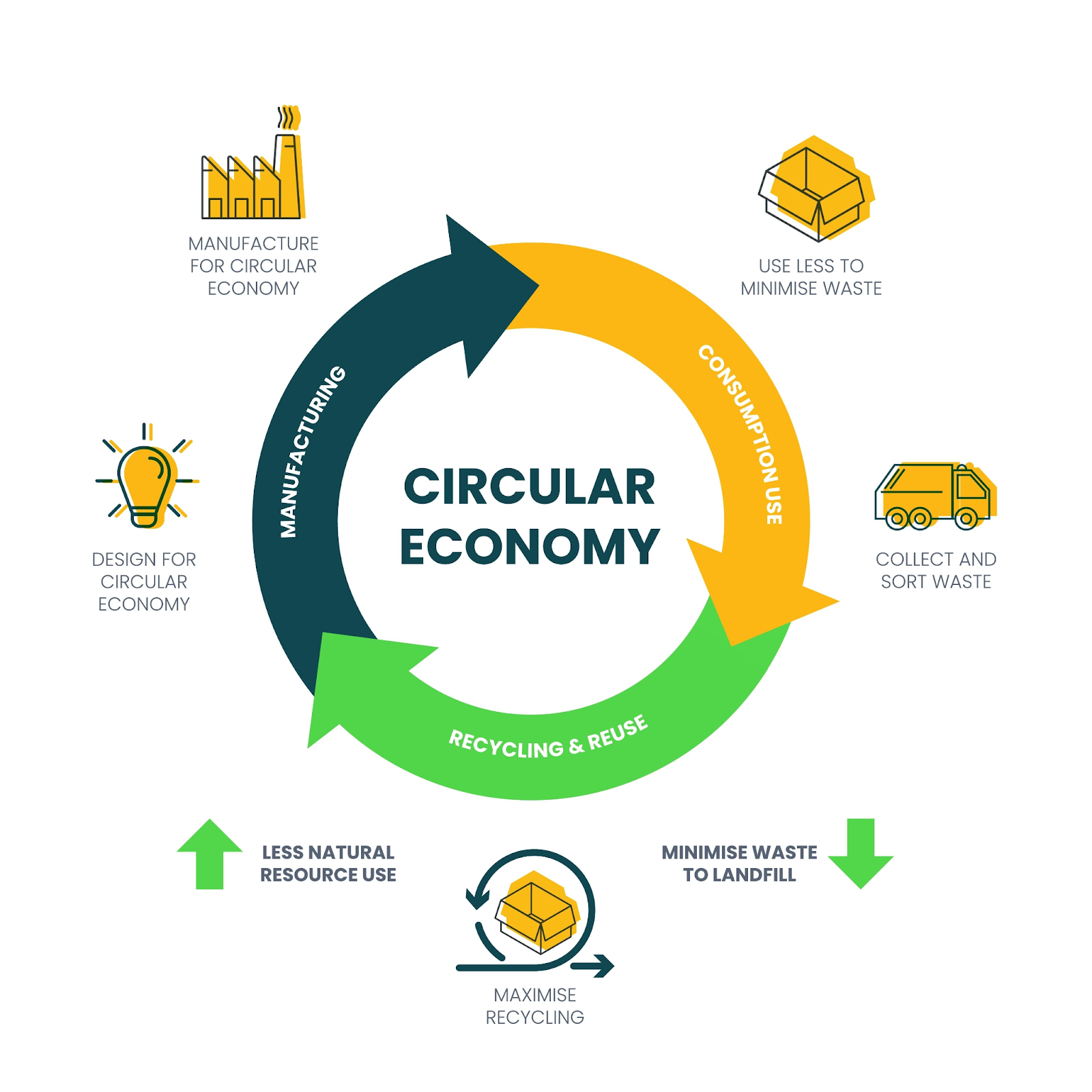 Circular Economy Strategy & Waste Systems
