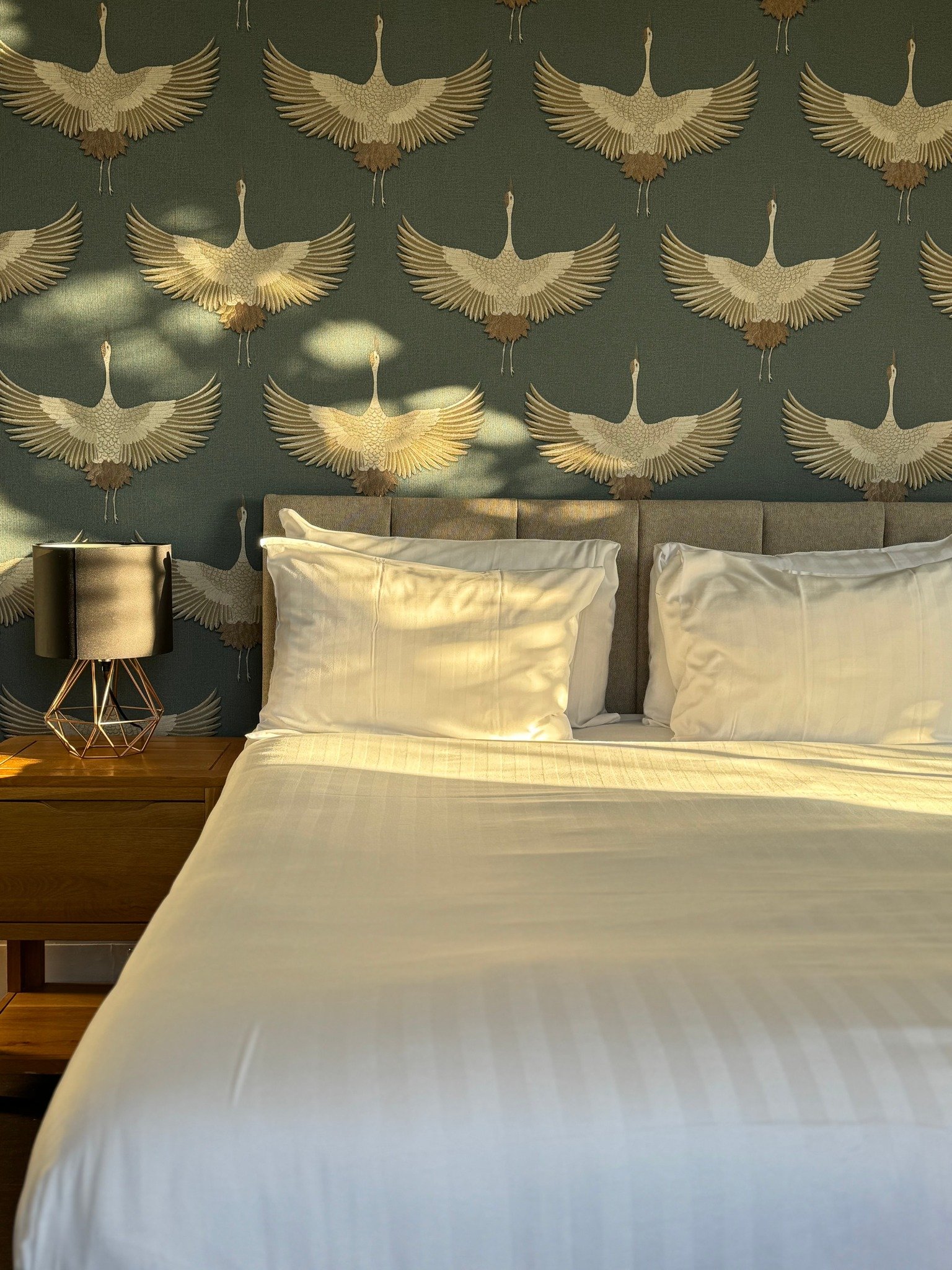 mortimer rooms 2.jpg