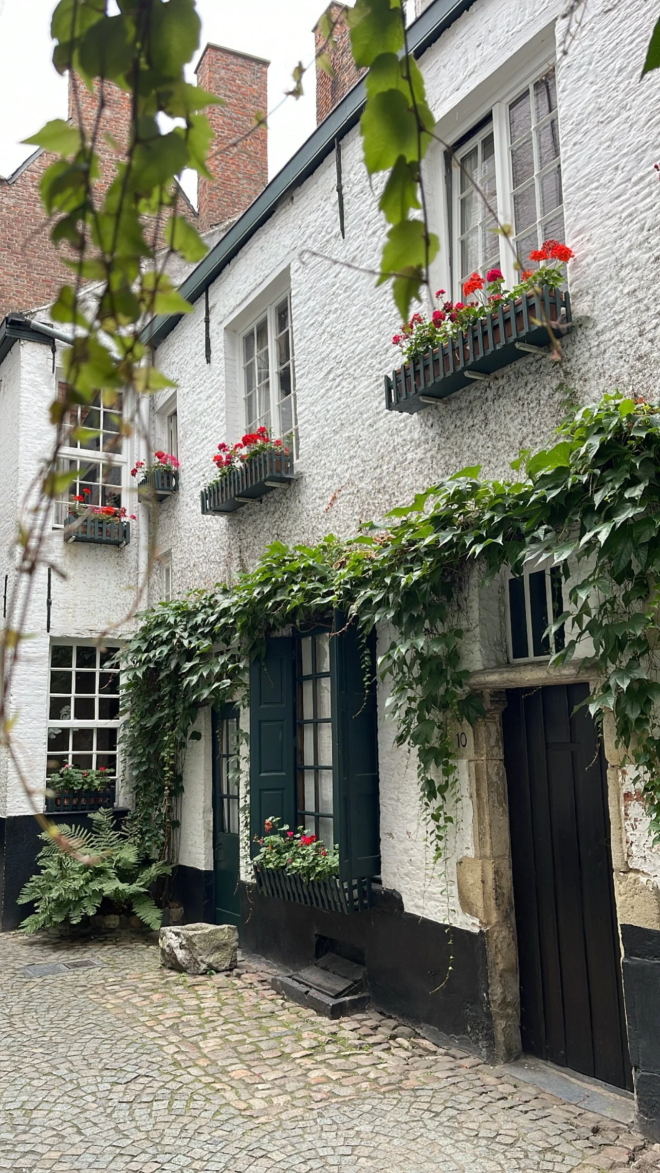 A white brick house with dark green shutters and window boxes filled with red flowers. Ivy grows on the wall, and a cobblestone street runs in front of the house.