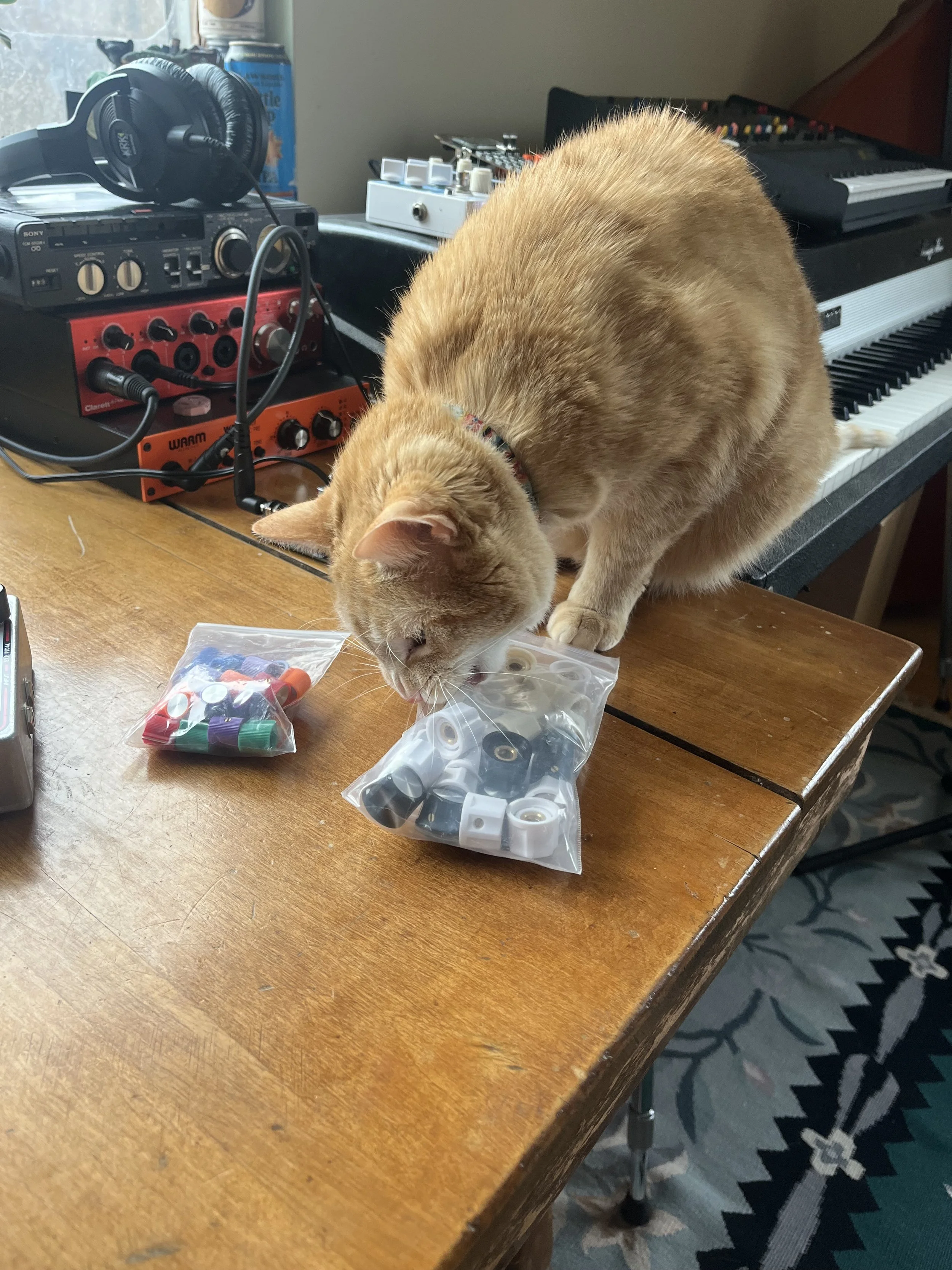 An orange tabby cat wearing a colorful collar playing with a plastic bag filled with small electronic parts on a wooden table. The table also has a small bag of colorful thread spools. In the background, there is a keyboard, audio equipment, headphon