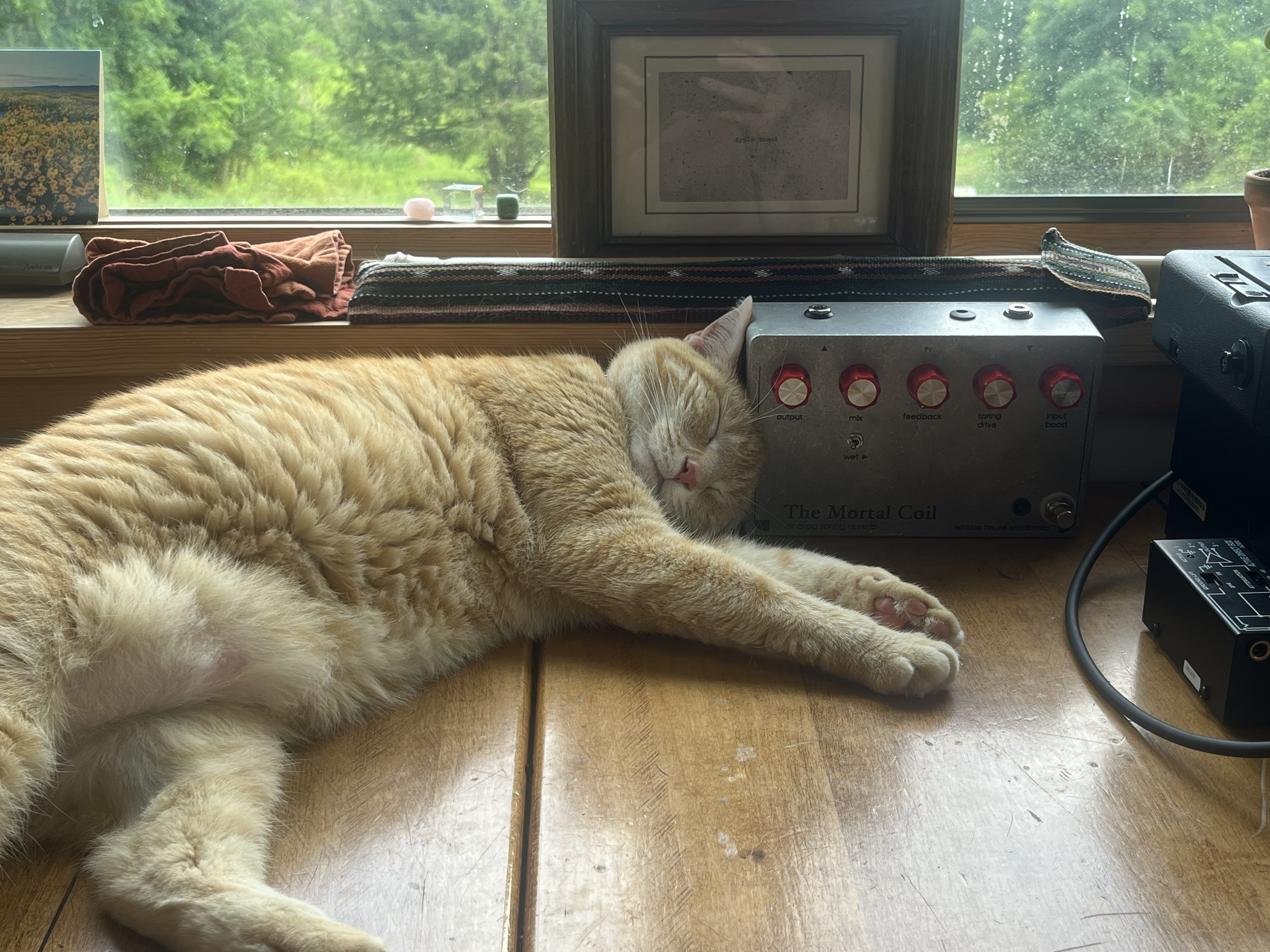 A ginger and white cat sleeping on a wooden table, stretching with one paw extended, next to an electronic device labeled 'The Mortal Coil' and a window showing greenery outside.