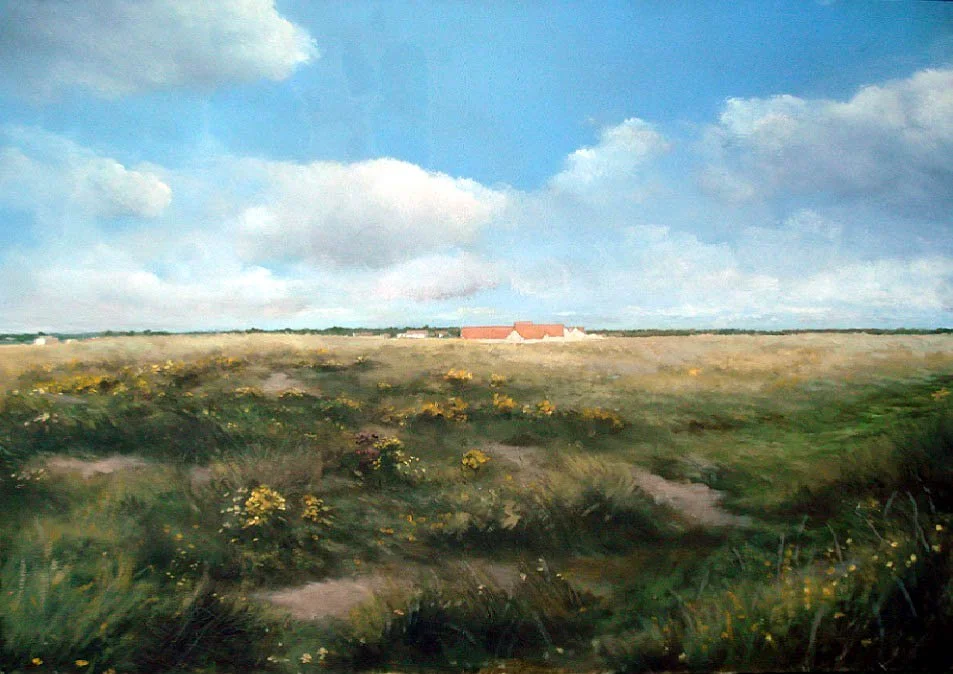 Towards Royal Dublin (2011)
50x60cm, Available