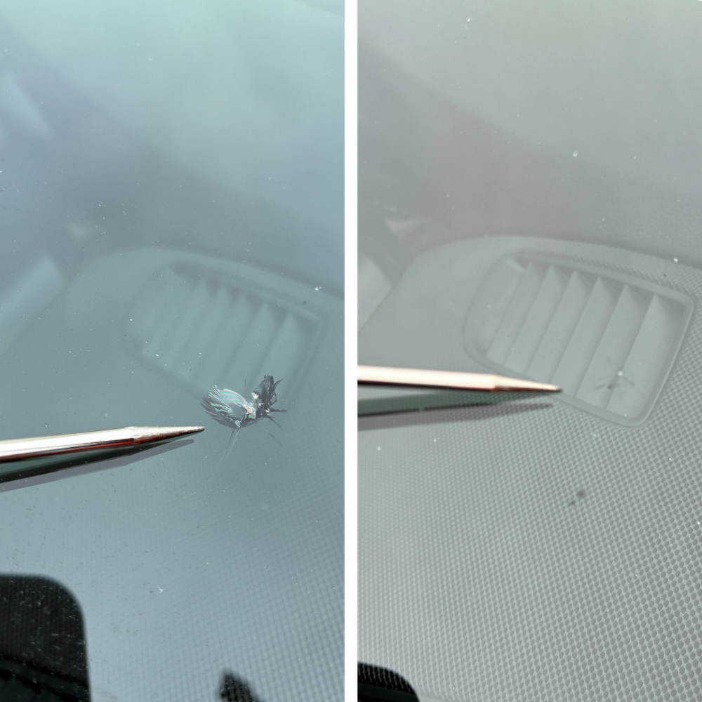 large chip glass.png