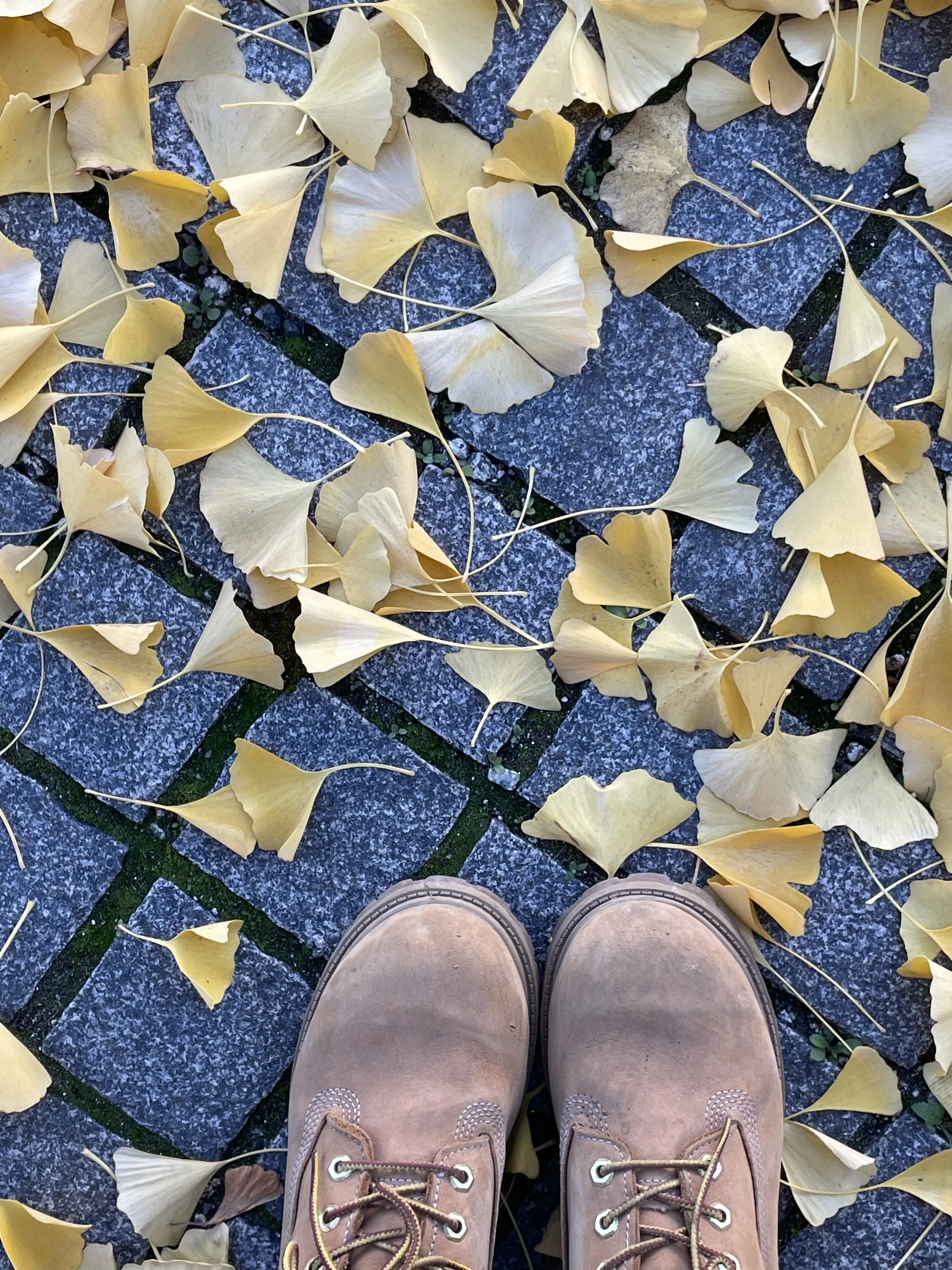 Listening to the Creative Part of Me