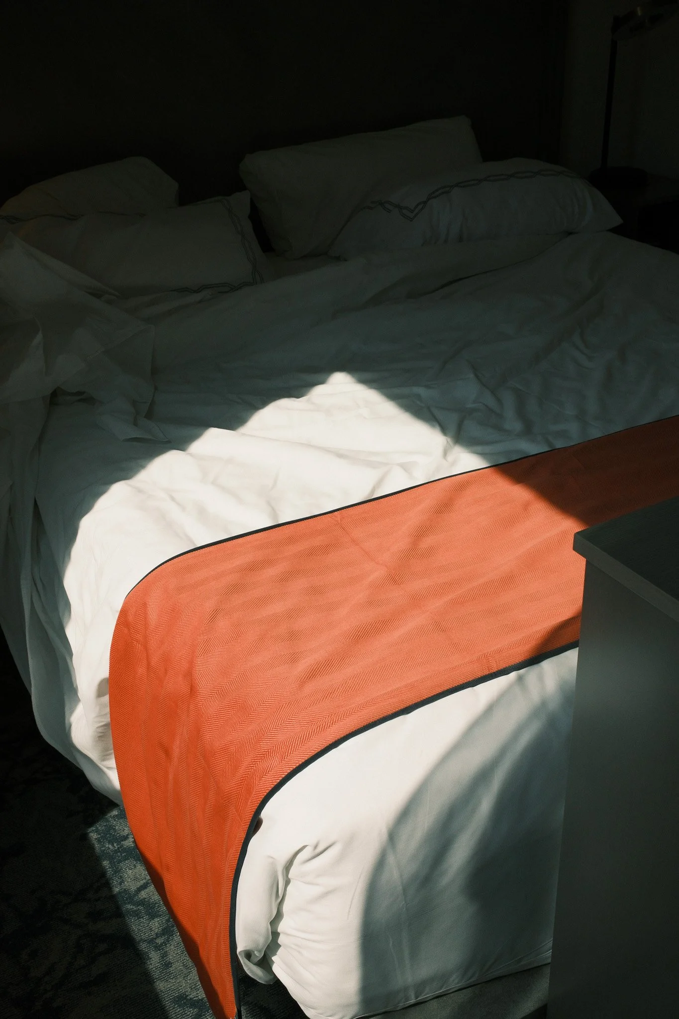 DSCF1549.jpg