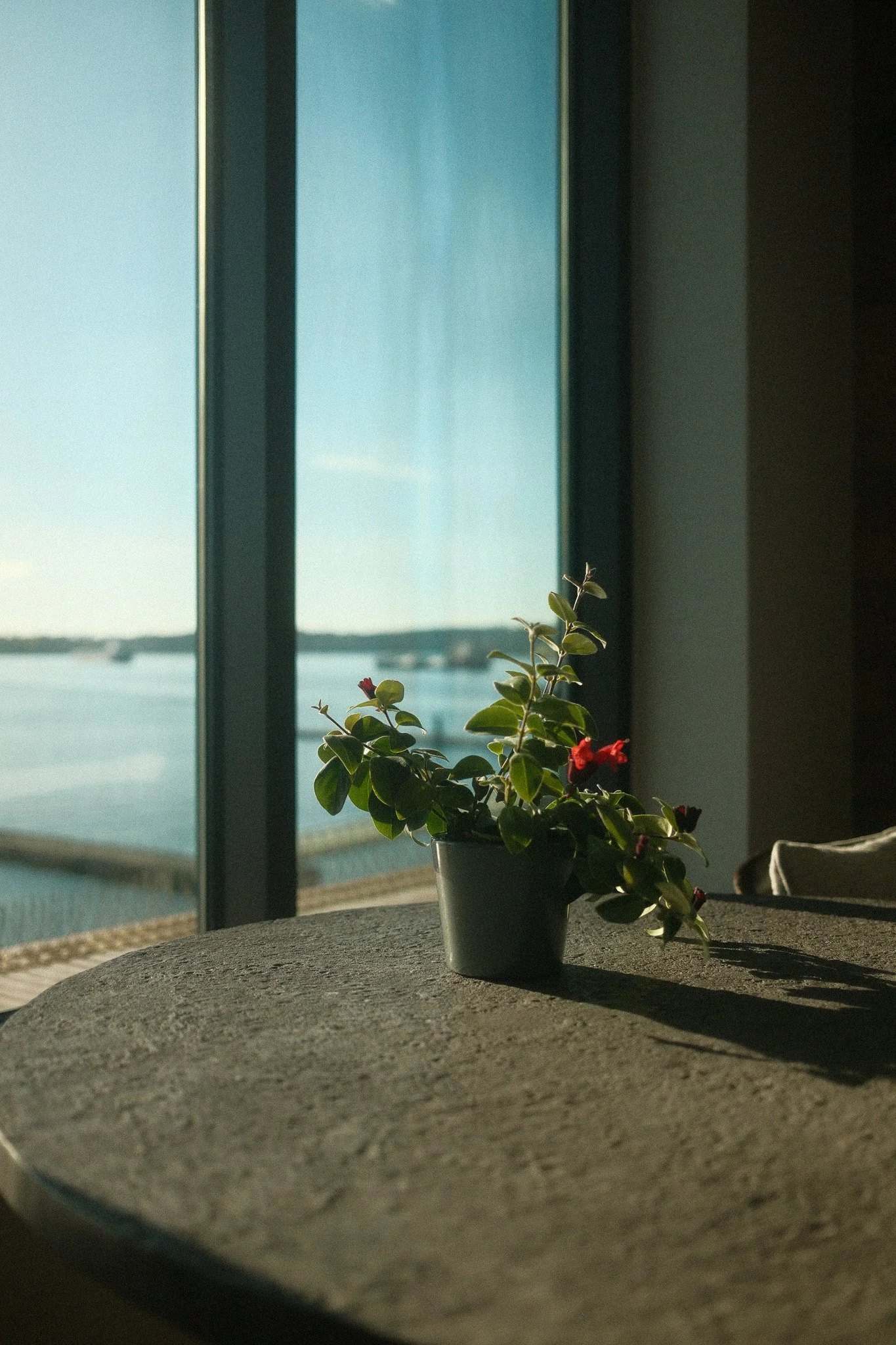 DSCF6415.jpg