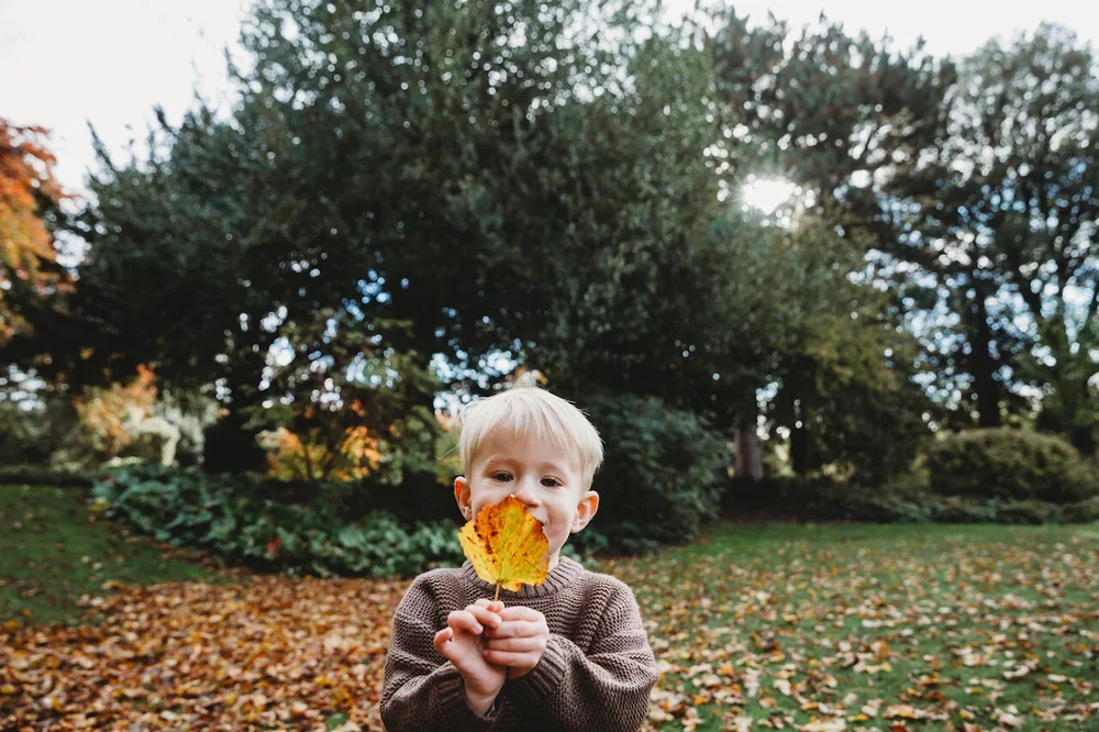 A young boy holding a large yellow and red autumn leaf in a park during fall, with trees and fallen leaves in the background.