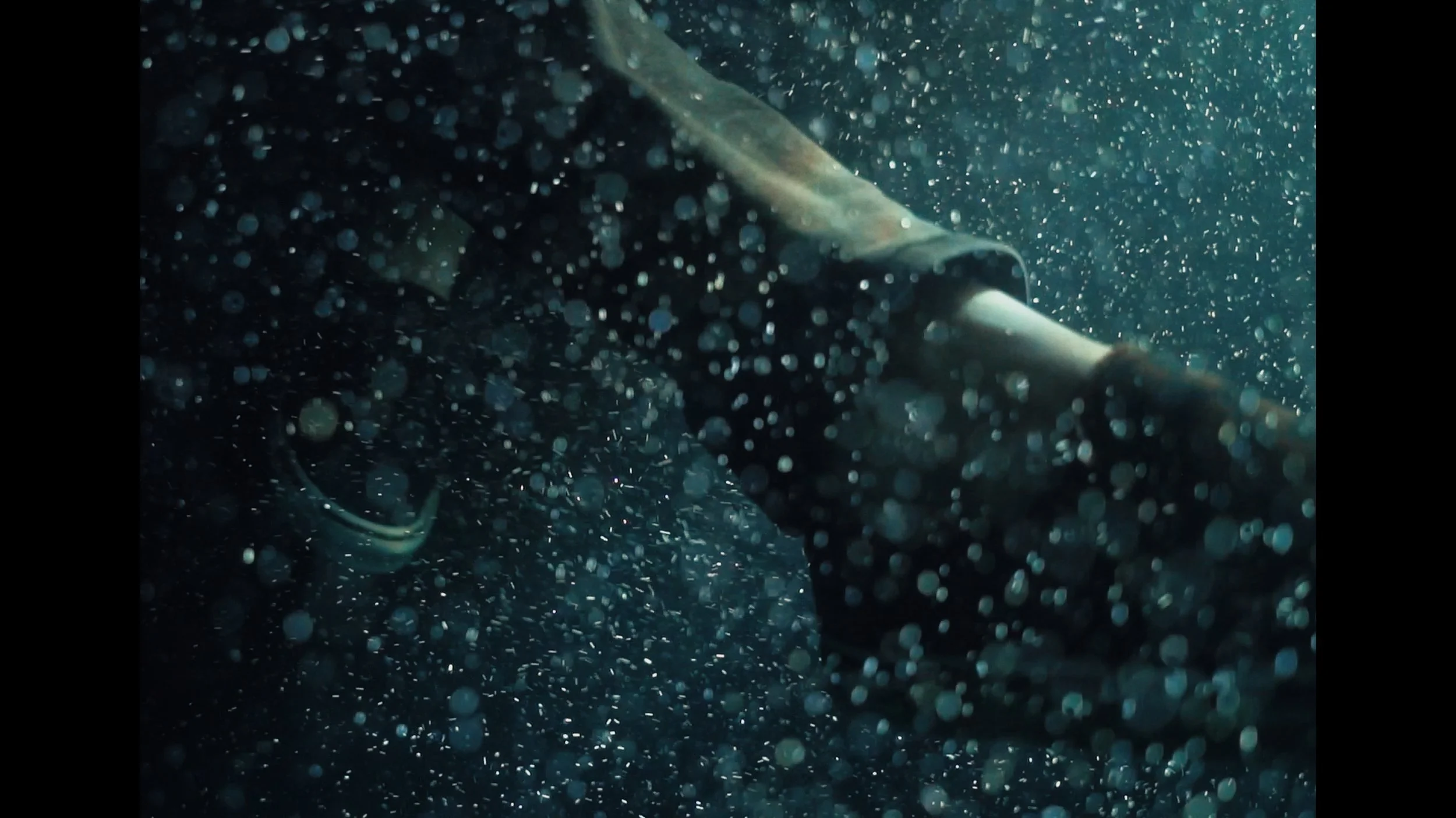 Still 2025-11-27 230924_1.57.1.jpg