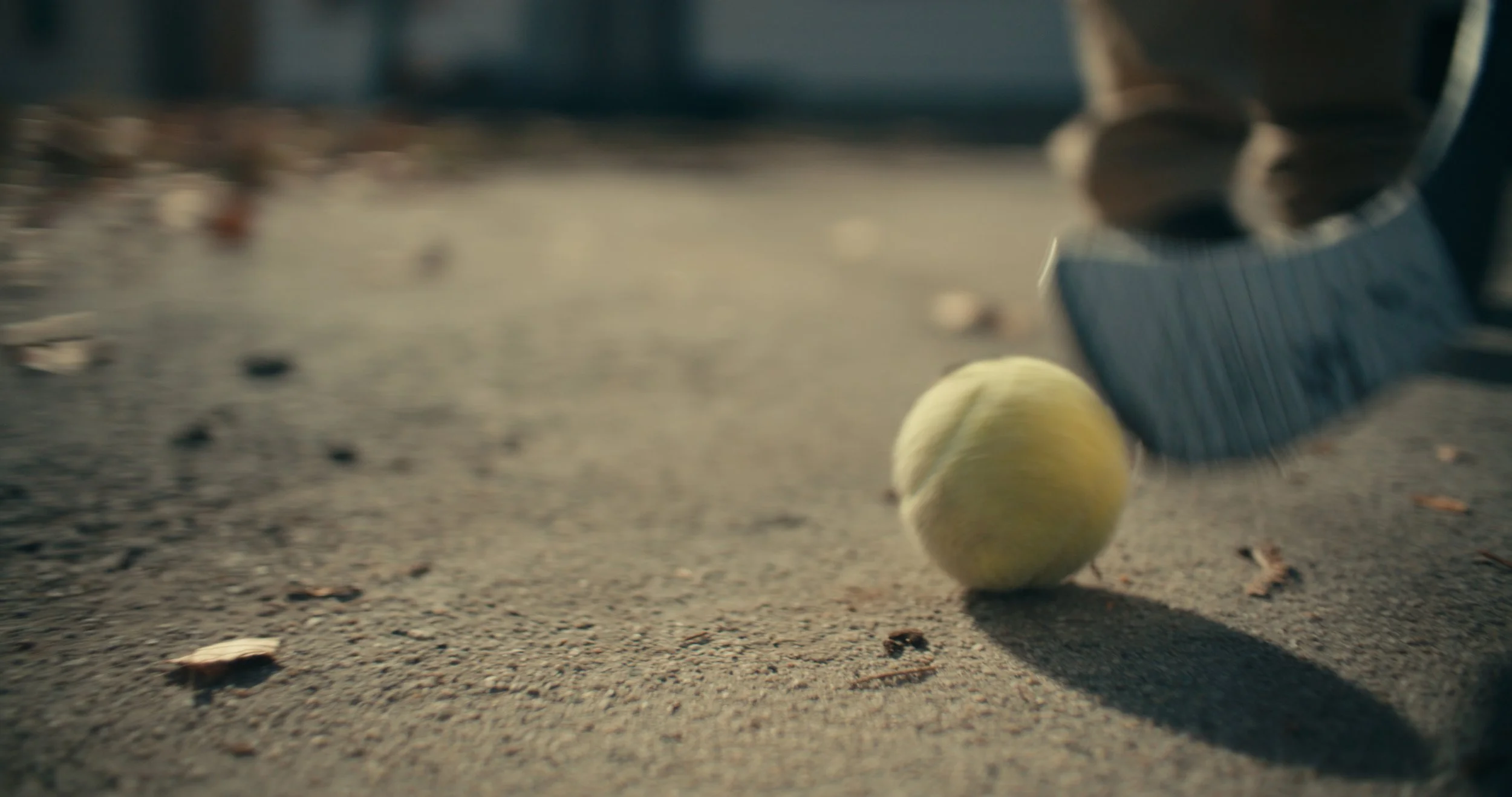 Still 2026-01-29 175932_1.8.1.jpg