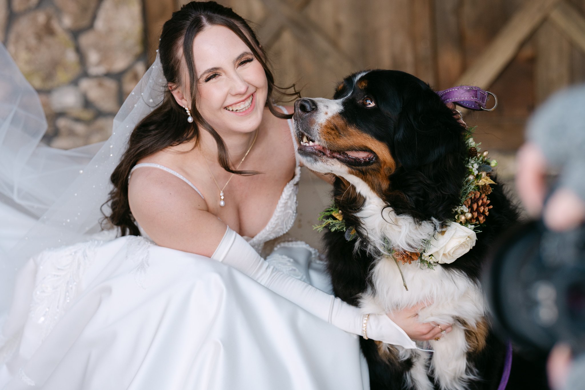 A smiling woman in a wedding dress holding a Bernese Mountain Dog with a floral collar, in a rustic setting.