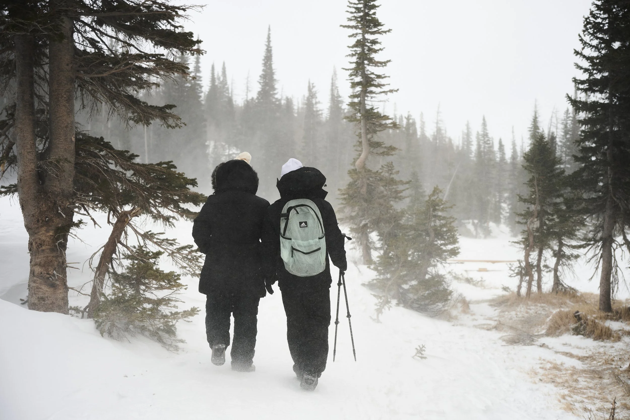 A couple walks through the snow and wind on a winter day at Dream Lake.