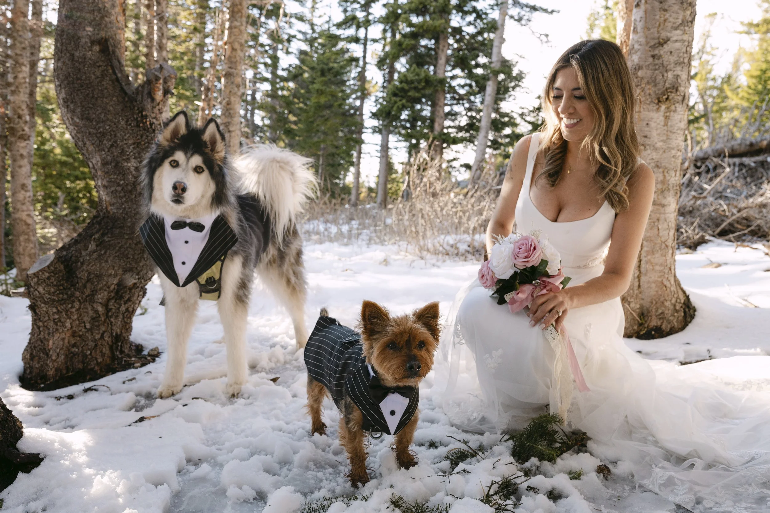 colorado-elopement-with-dogs-yorkie-husky-12.jpg