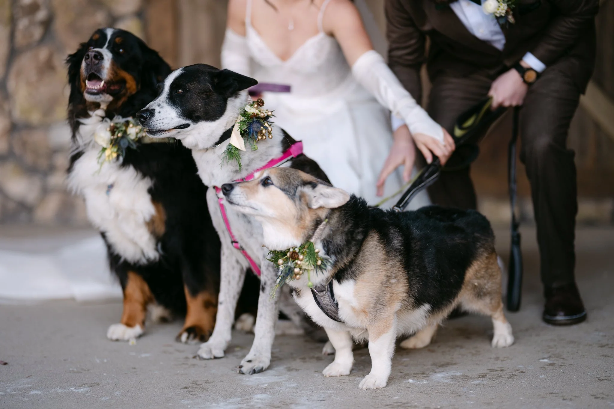 WEB-OrinJenWedding-02.21.26-40.jpg