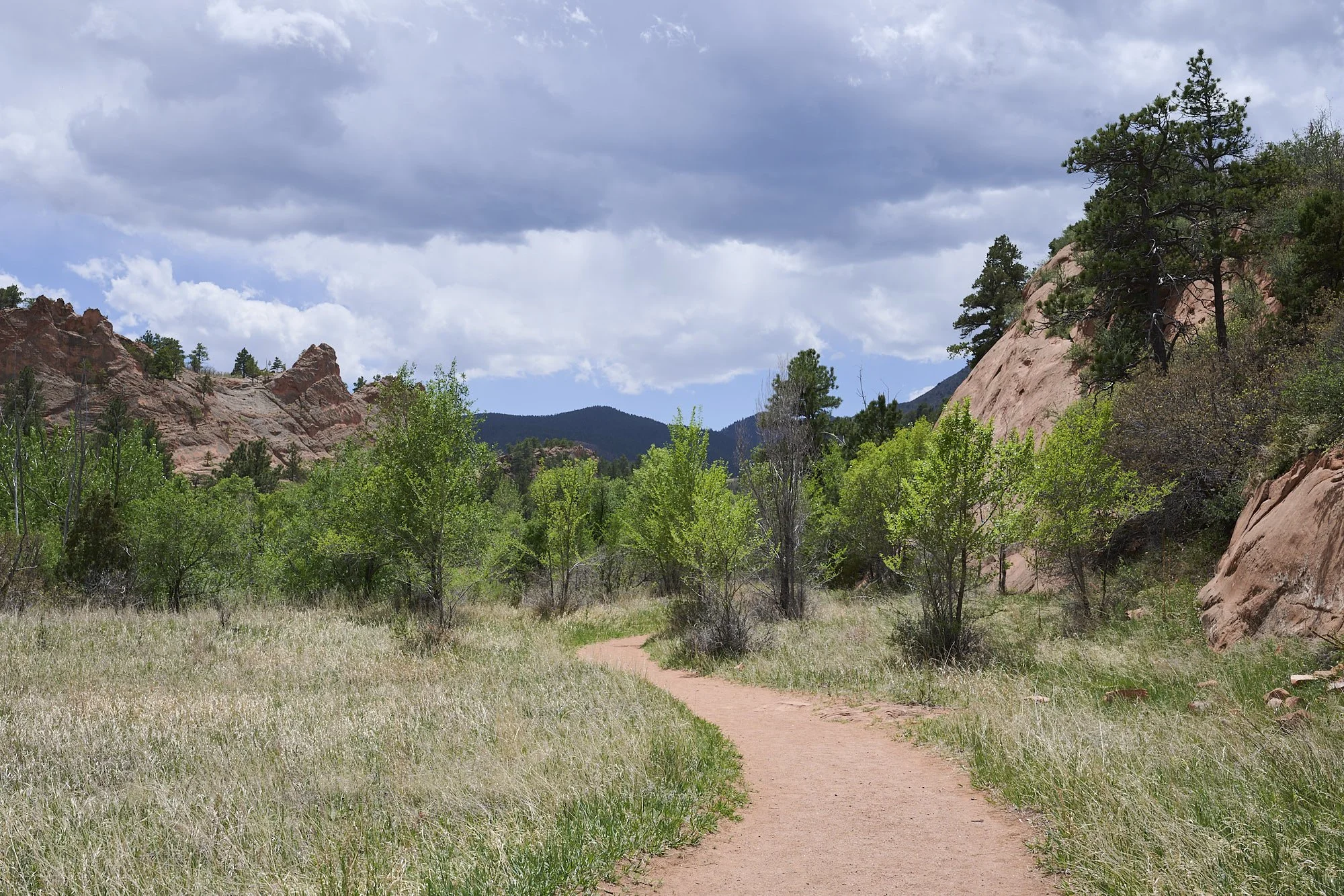 A view of a trail in red rock canyon open space in Colorado Springs.