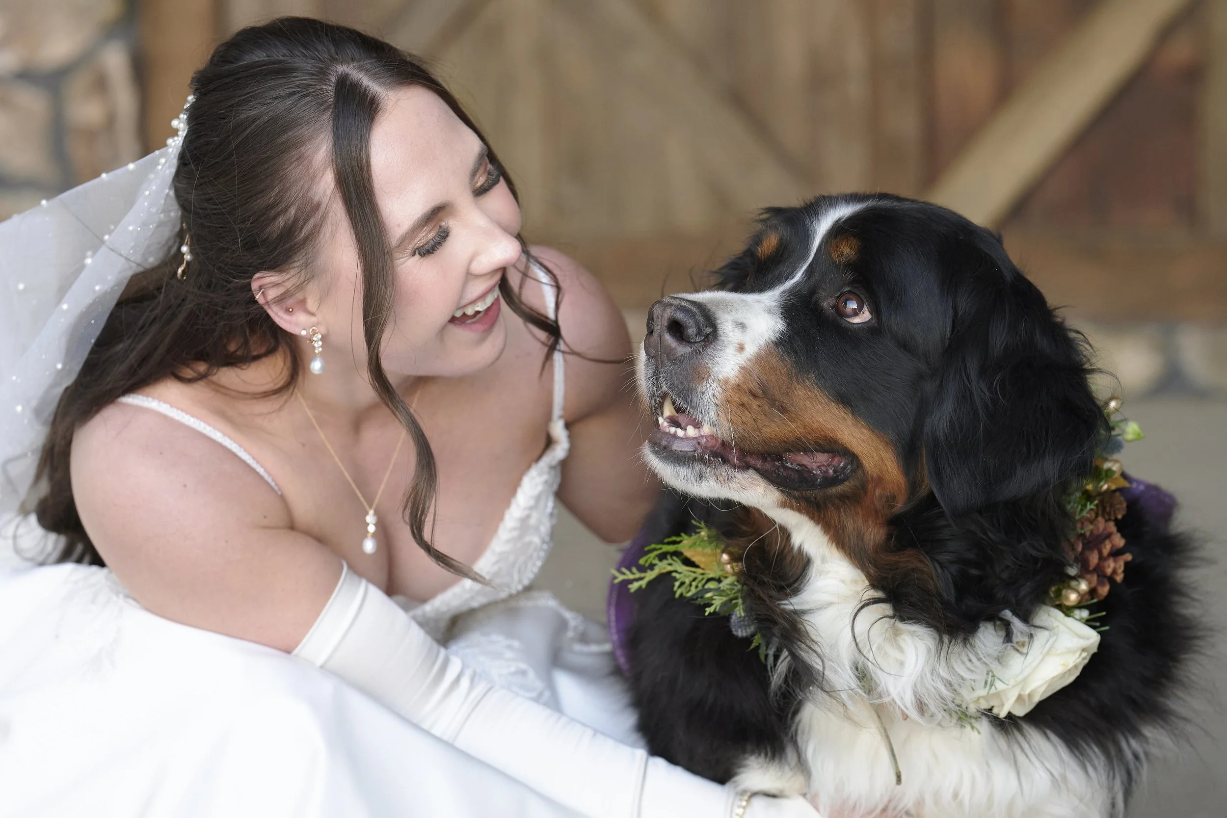 Can Your Dog Sign Your Colorado Marriage License? A County-by-County Guide