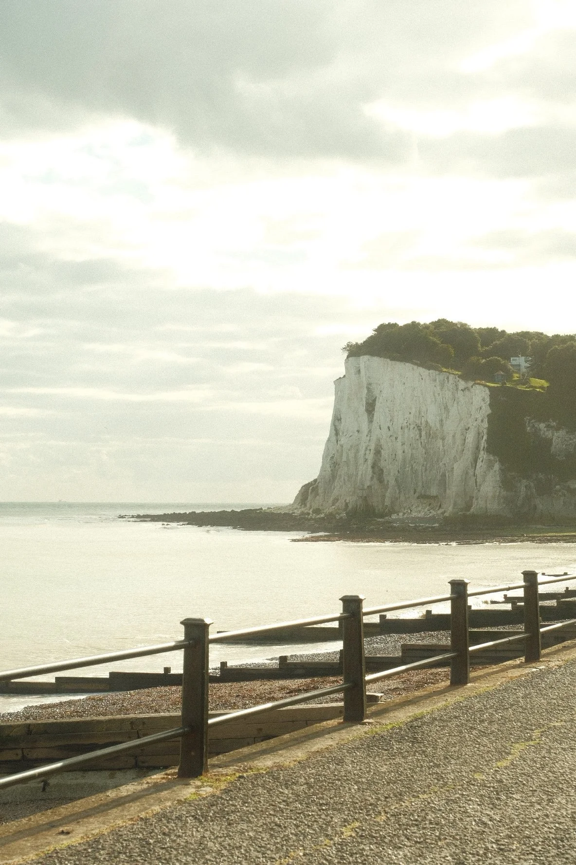 DSCF6795.jpg
