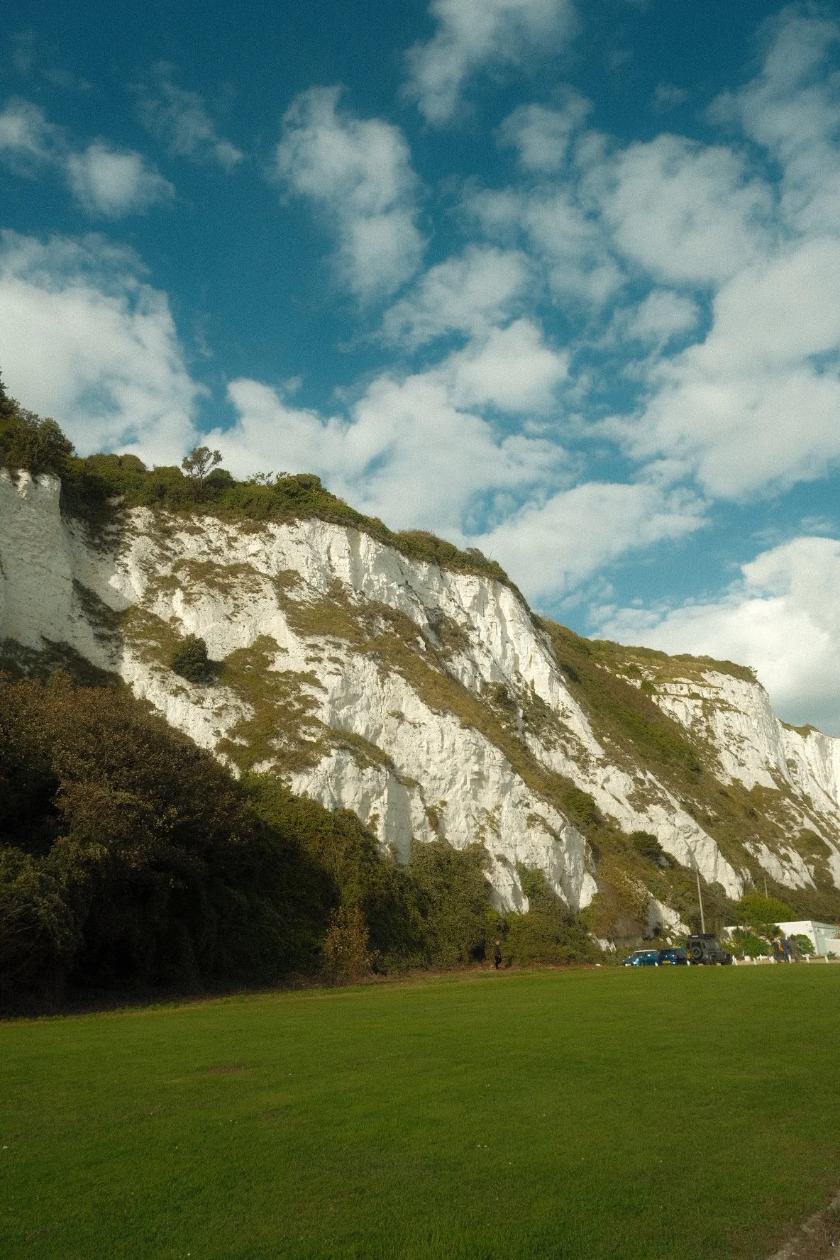 DSCF6651.jpg