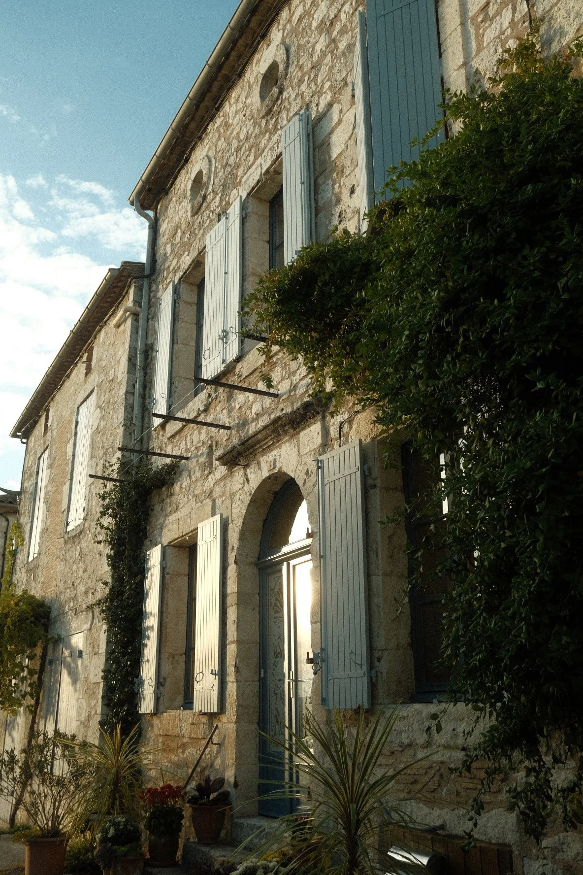 DSCF6496.jpg