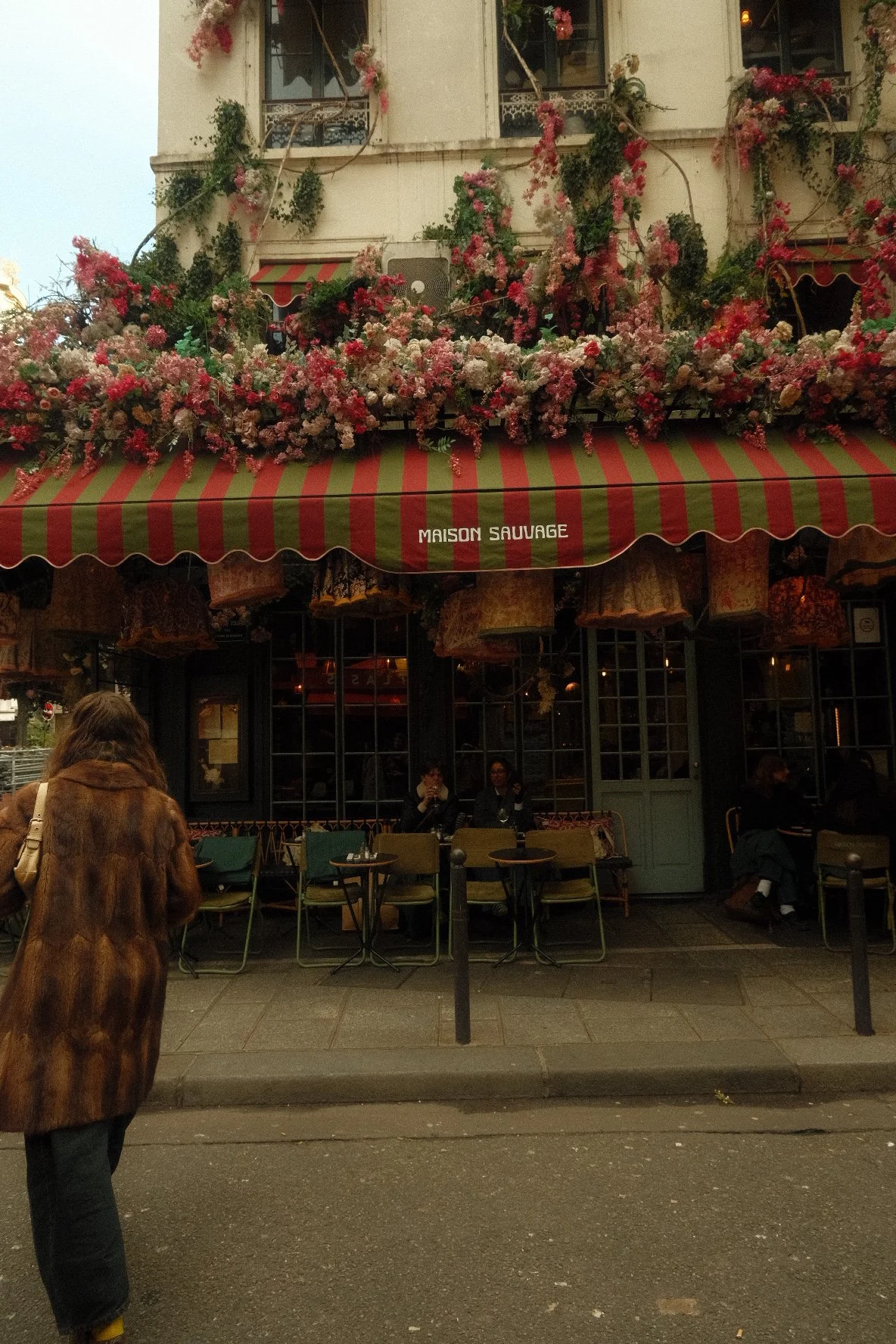 DSCF7372.jpg