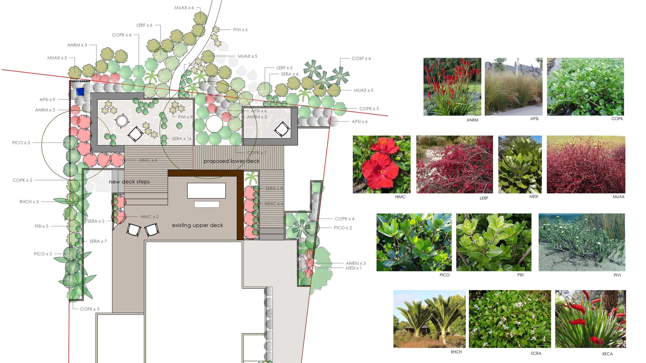 McPlanting Planv.jpg