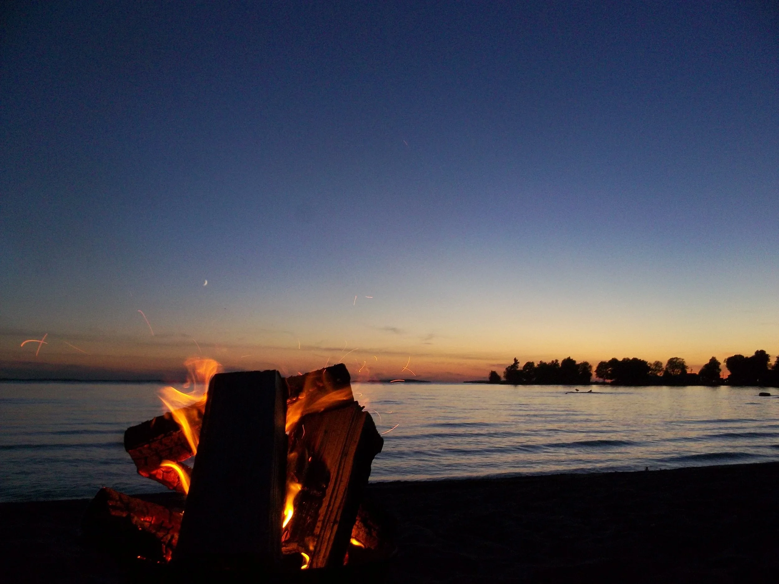 A fireside at the beach during sunset with trees in the background.