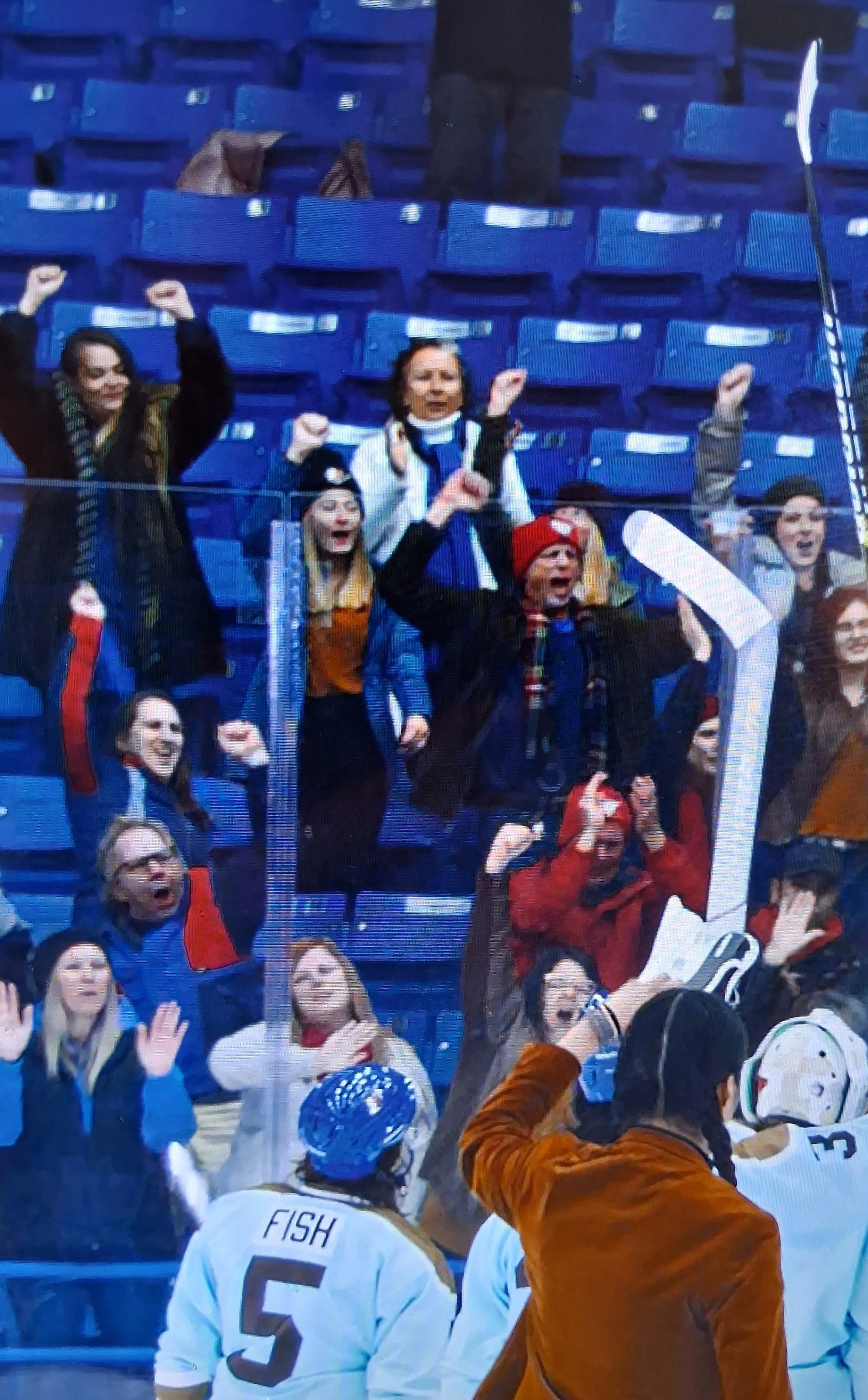 Crowd of enthusiastic sports fans cheering and celebrating in the stands at a hockey game, with some fans raising their fists and others shouting.