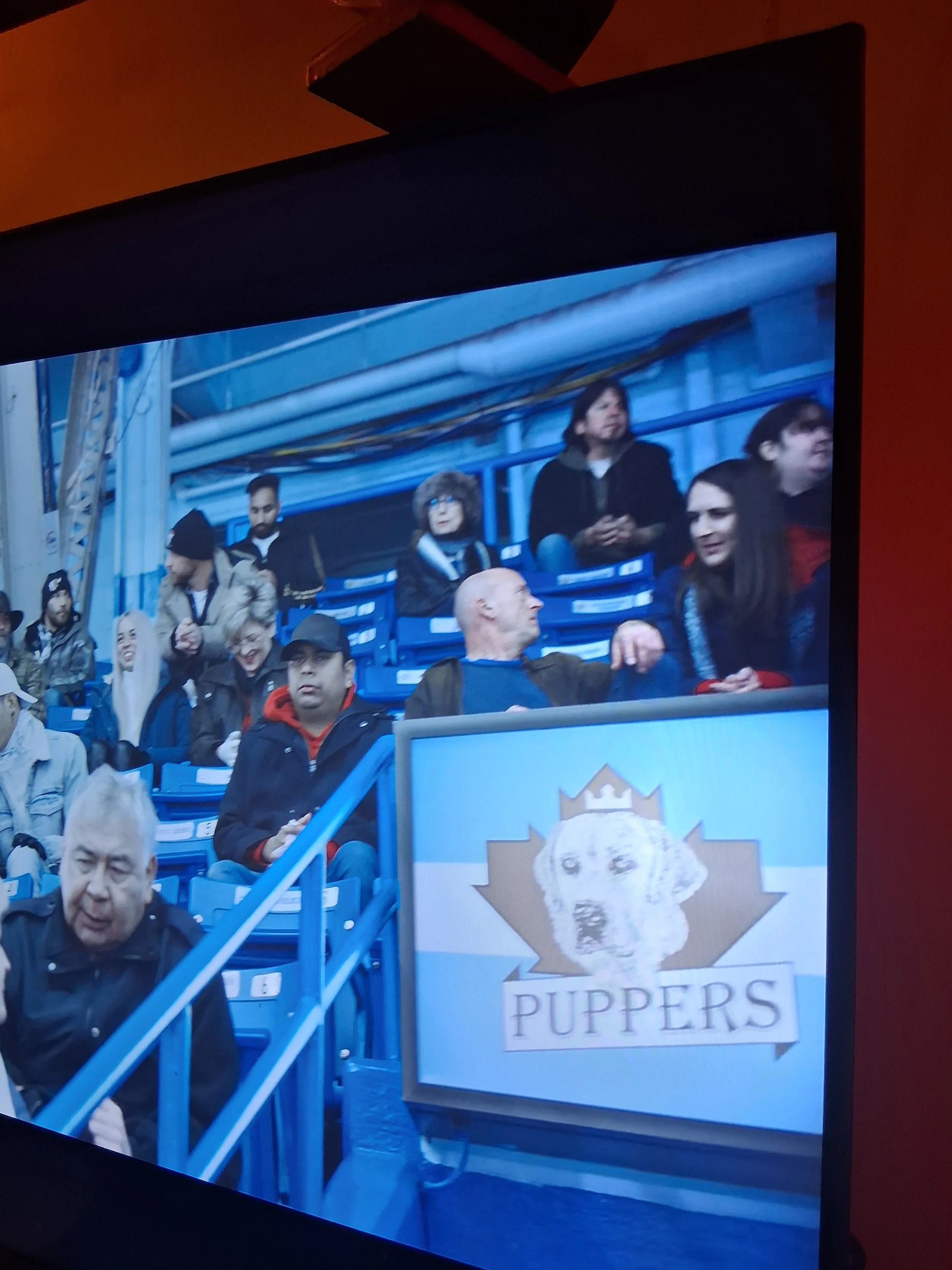 Spectators watching a hockey game, some in winter clothing, with a sign reading 'PUPPERS' and a dog logo.