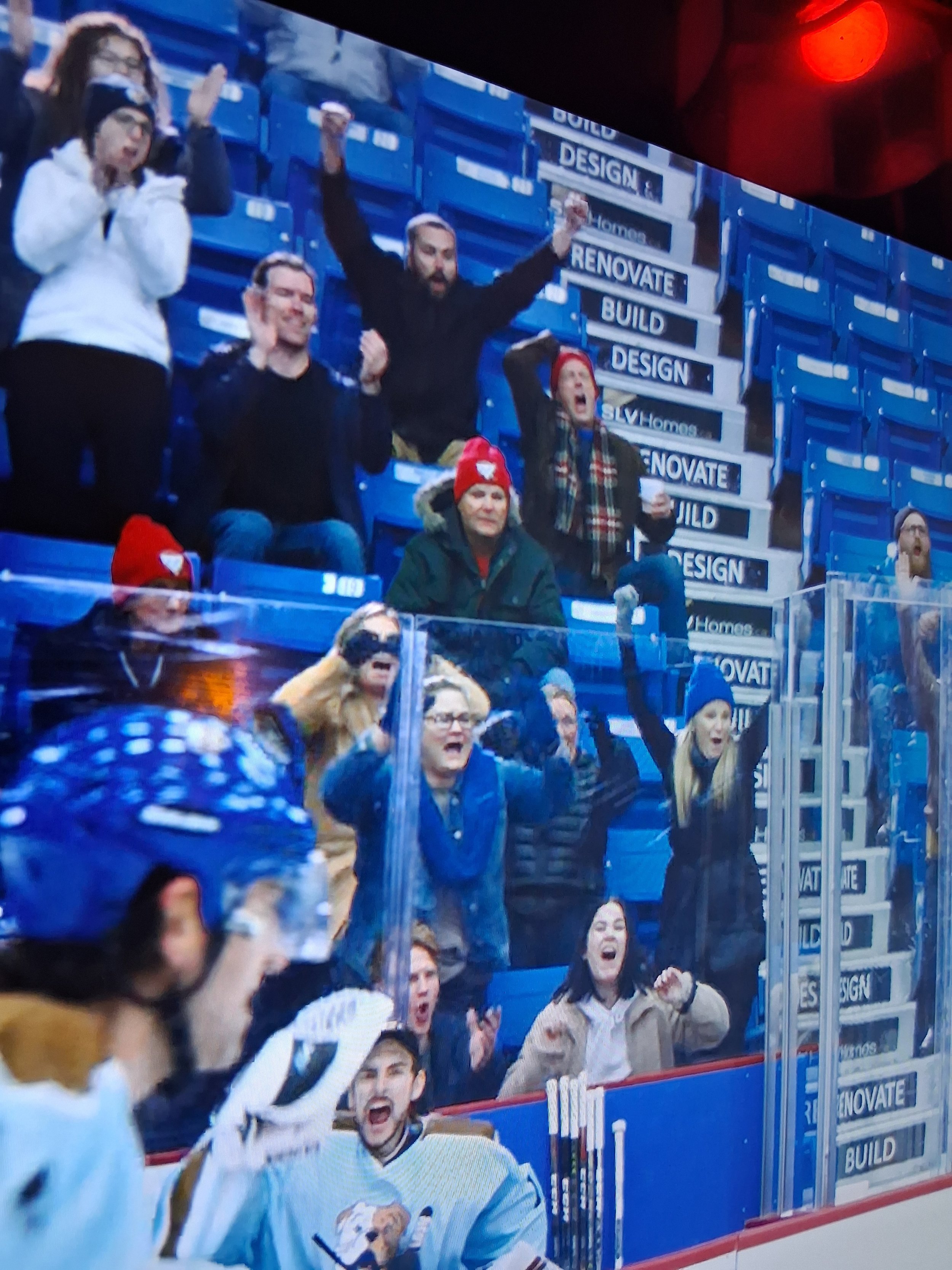 Fans cheering and celebrating at an ice hockey game, some wearing team jerseys and hats, with a player in a white uniform in the foreground.