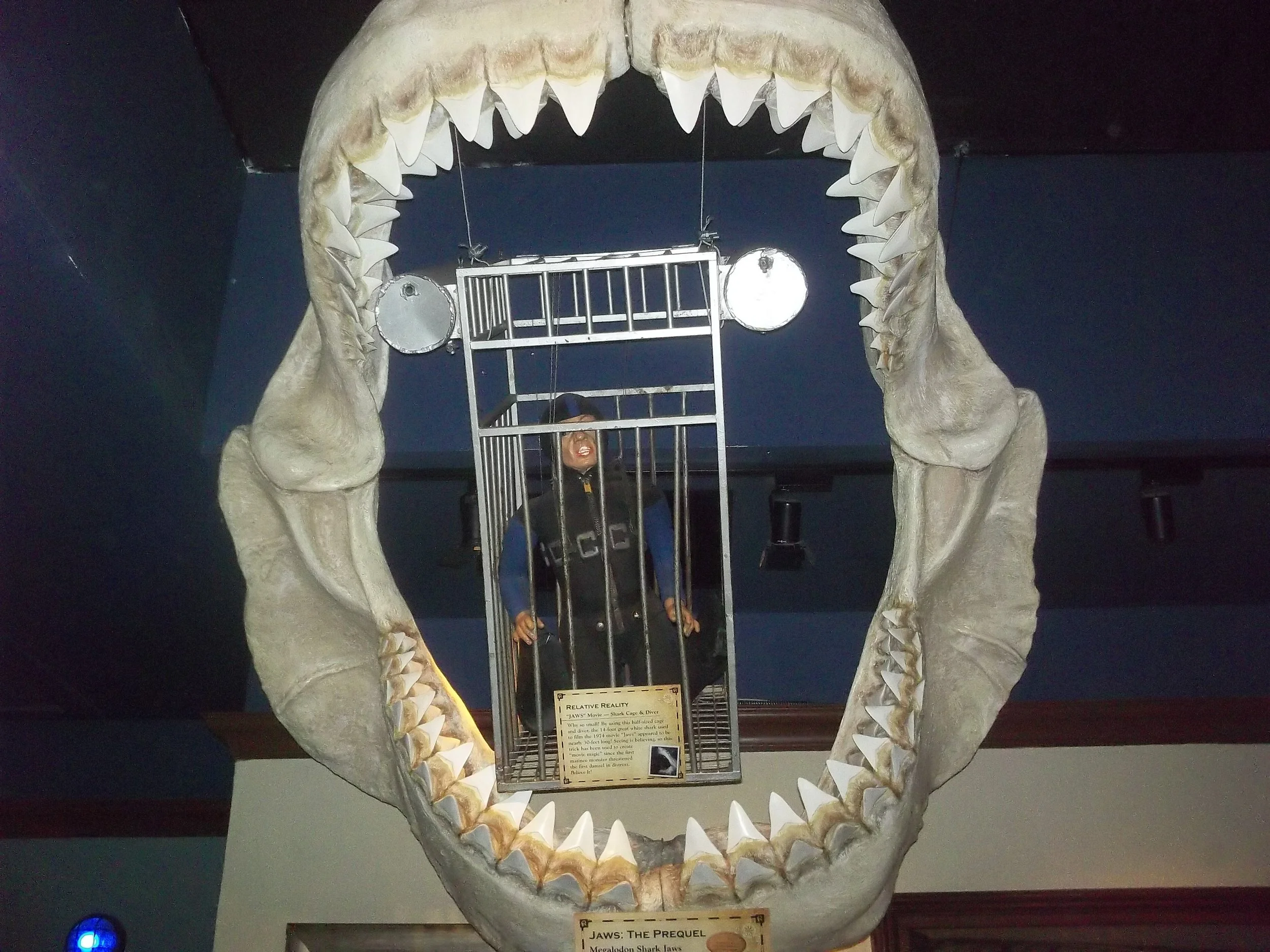 A person in a shark costume standing inside a metal cage, with the open jaws of a large shark head mounted on the wall framing the scene.