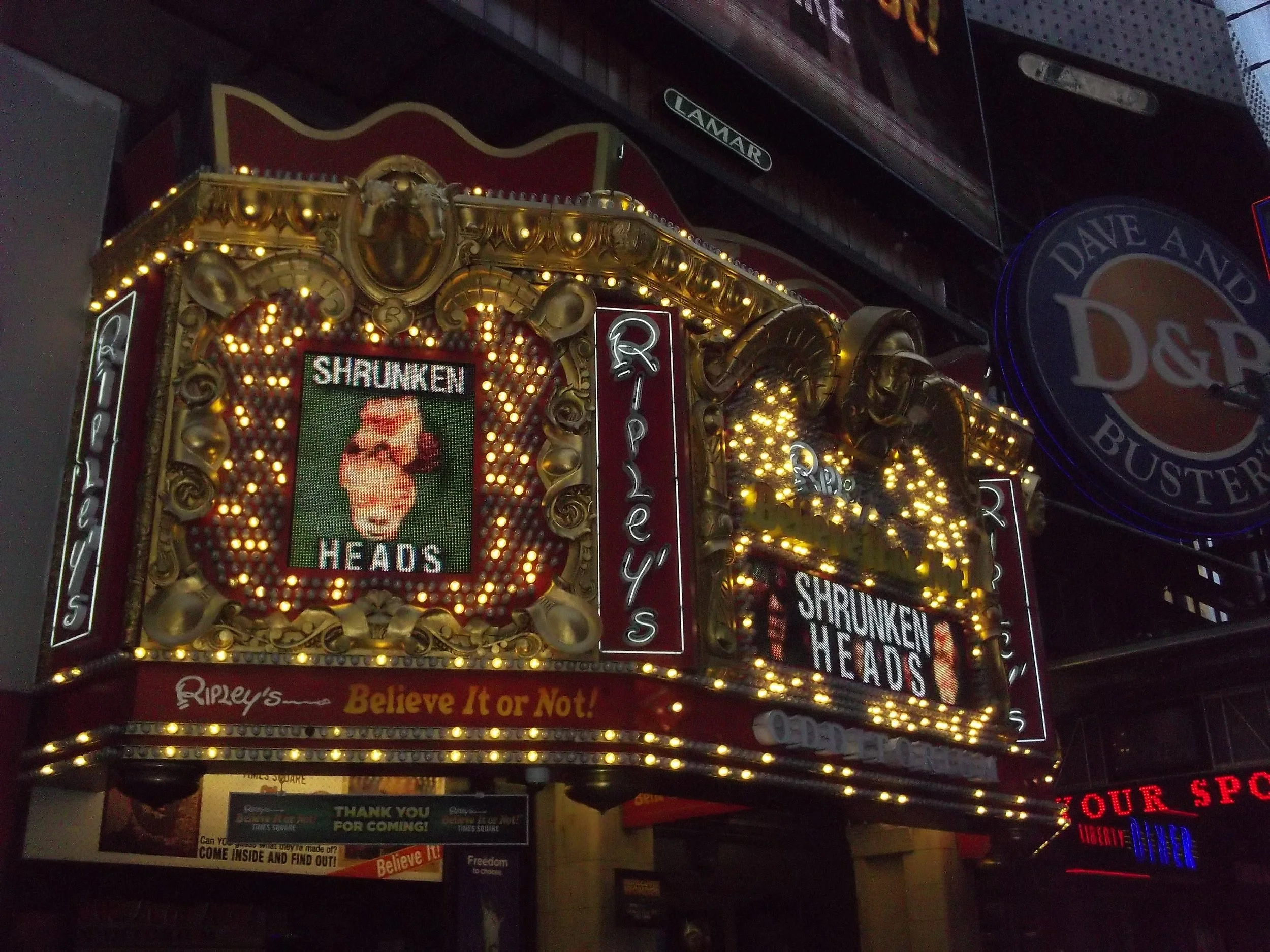 Marquee sign advertising 'Shrunken Heads' show, with illuminated bulbs and ornate gold framing, located outside Ripley's Believe It or Not in Times Square at night.