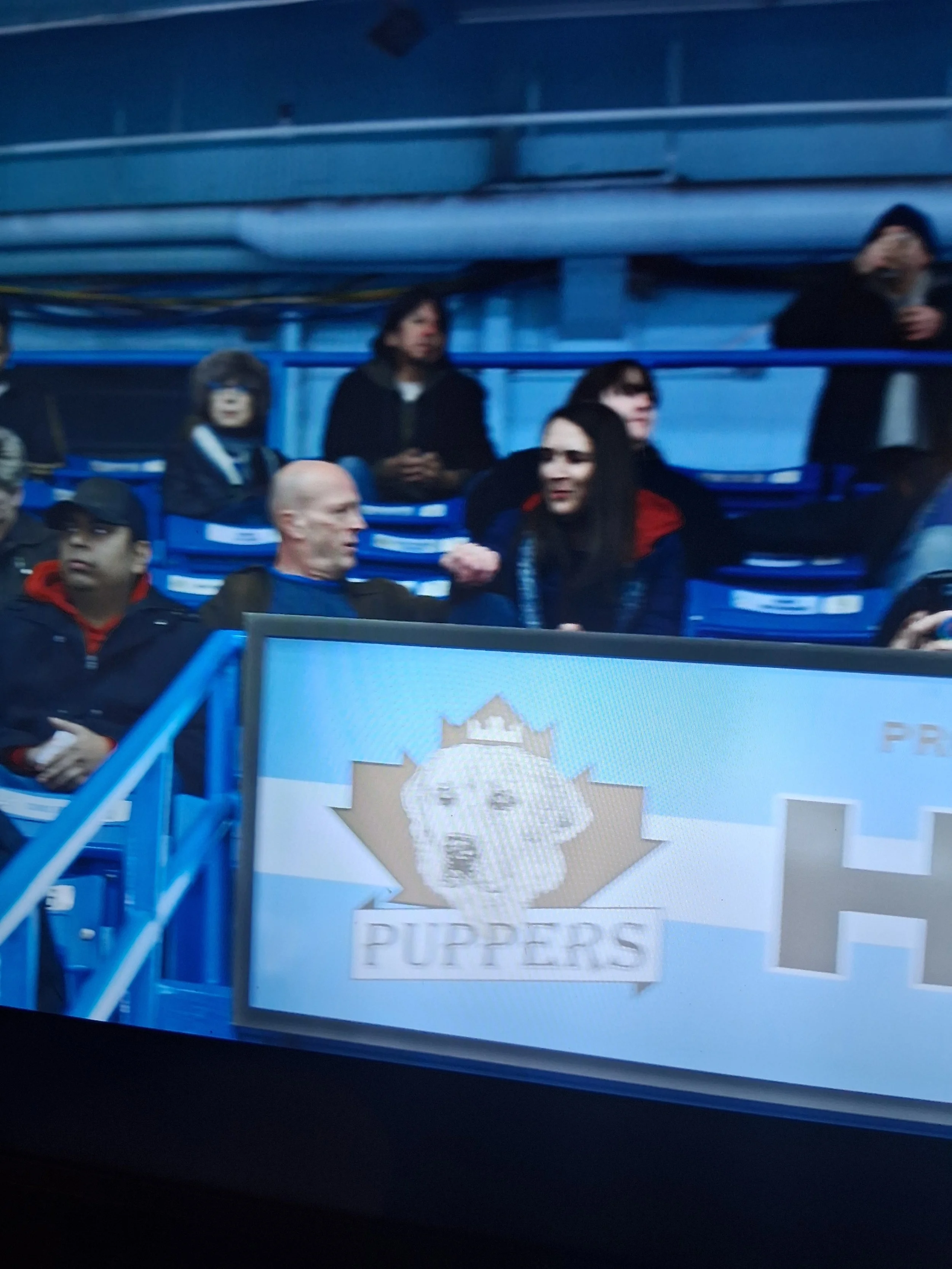 People sitting in stadium seats, some engaging in conversation, with a sign in the foreground displaying the logo of the Toronto Pupper's hockey team.