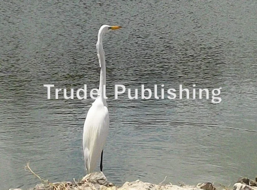 Dominican Republic Photography 3 Trudel Publishing