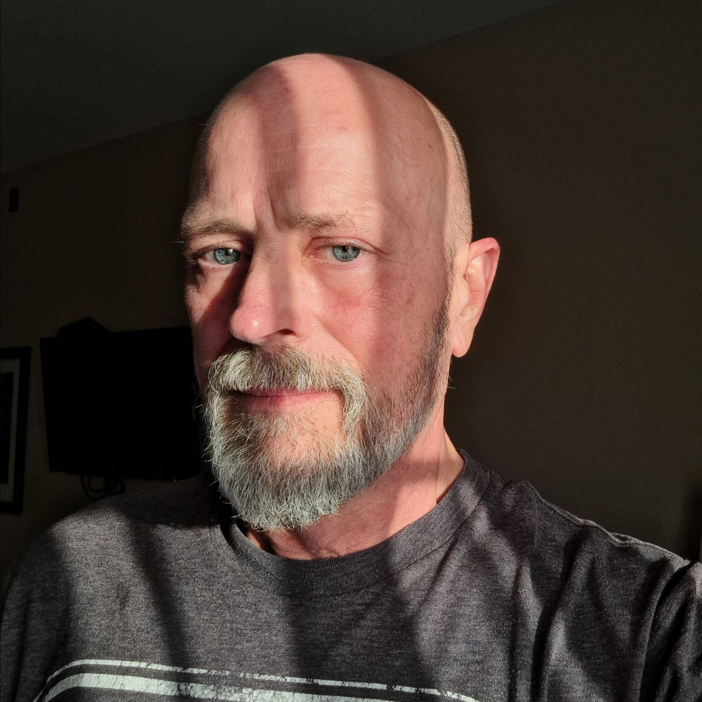 Close-up of a middle-aged man with a bald head, blue eyes, and a gray beard, wearing a gray T-shirt, facing the camera with sunlight highlighting his face.