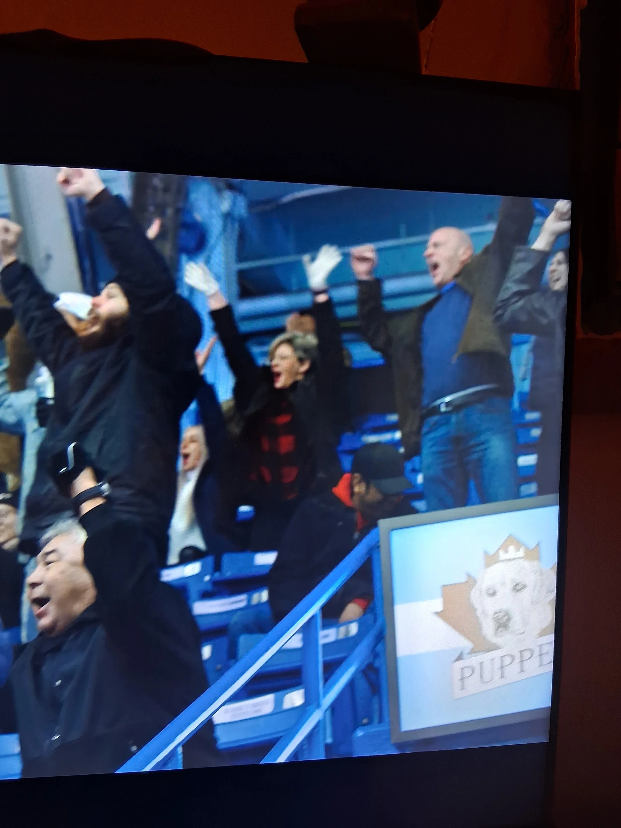 People celebrating in a sports stadium, some with raised arms and joyful expressions, with a banner displaying a wolf and the word "PUPP."