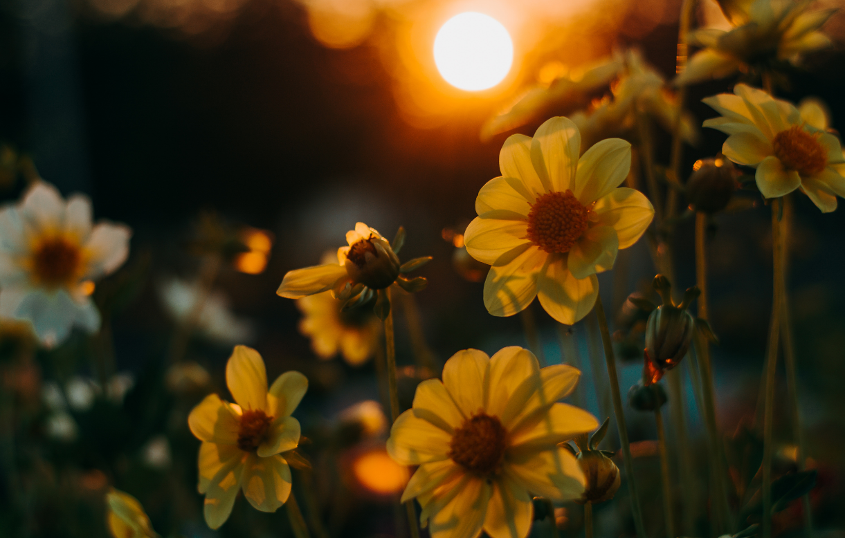 Life coaching to help you rediscover your confidence and purpose.