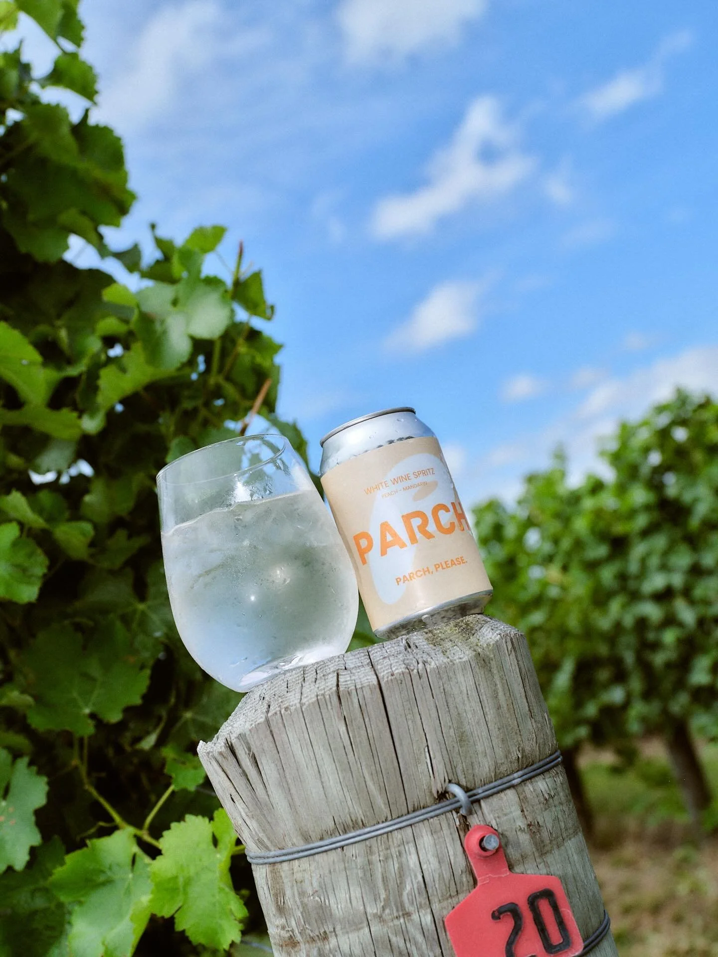 Sunny day? Parch up ☀️