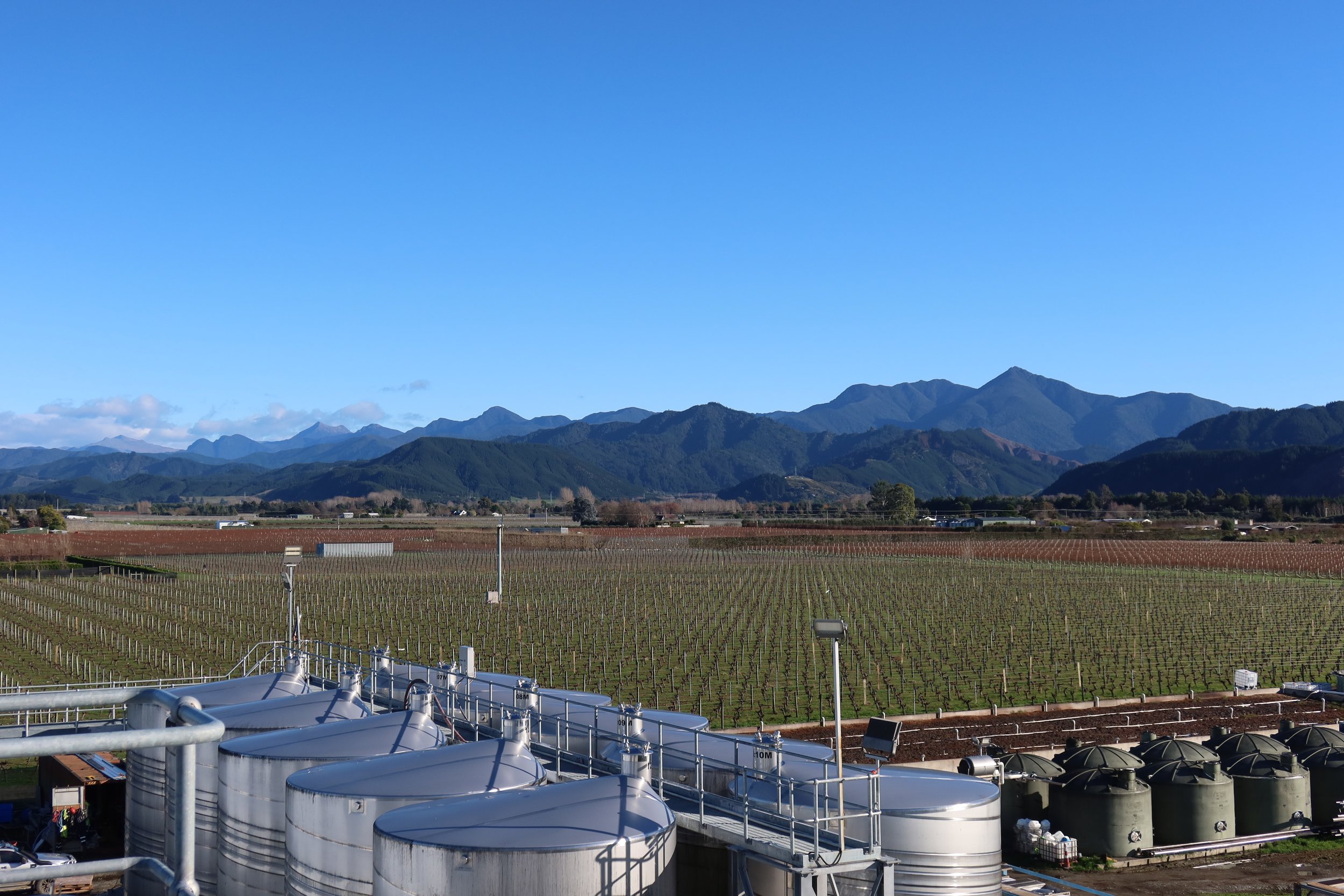 A landscape of vineyard fields with mountains in the background under a clear blue sky, view from a facility with metallic tanks and industrial equipment in the foreground.