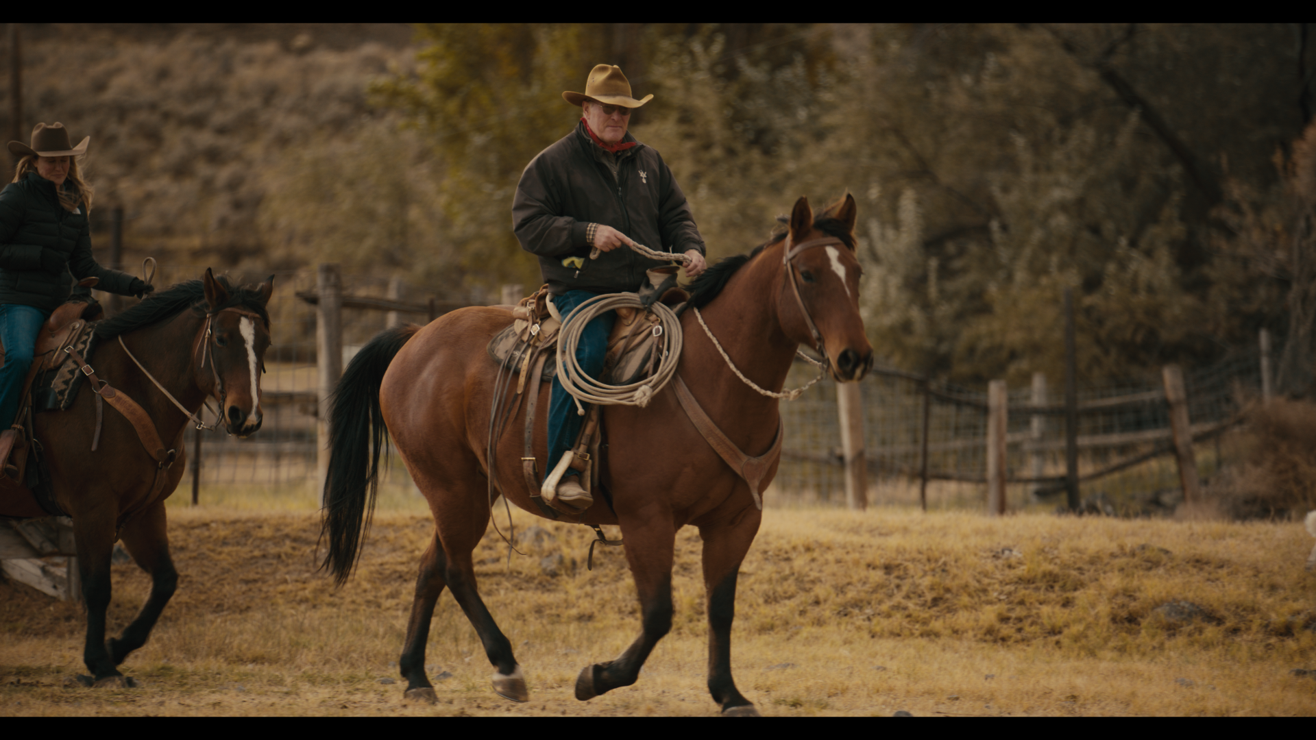 Still 2025-11-04 221537_1.33.2.png