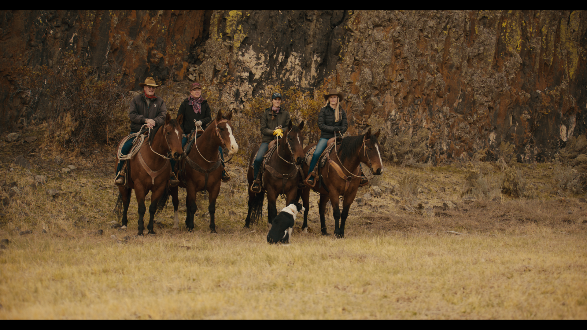 Still 2025-11-04 221537_1.35.1.png