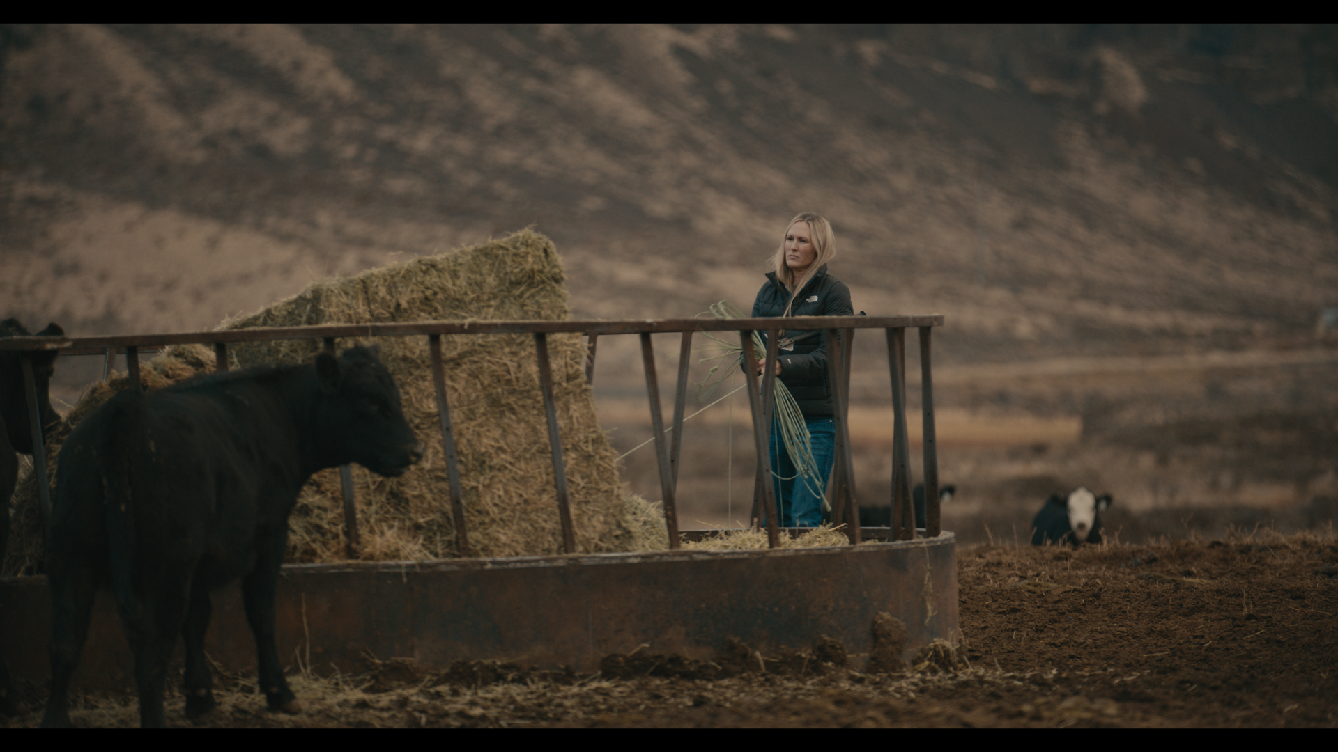 Still 2025-11-04 221537_1.17.2.png