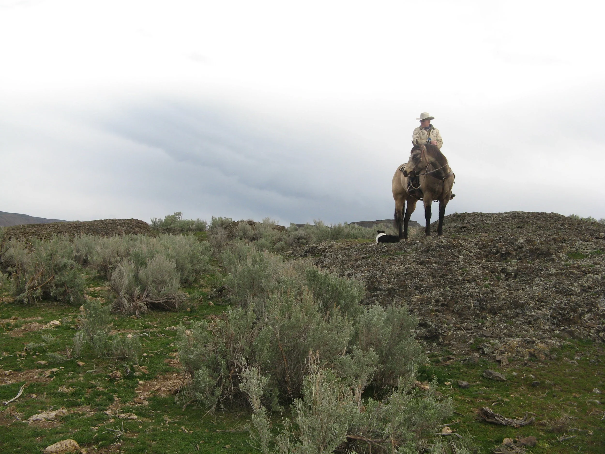 Photo Credit: Dan Wheat, Capital Press