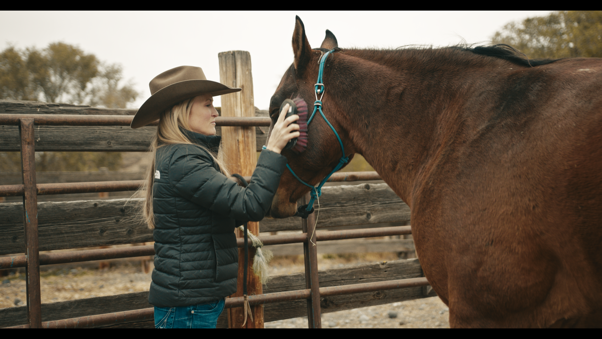 Still 2025-11-04 221537_1.27.4.png